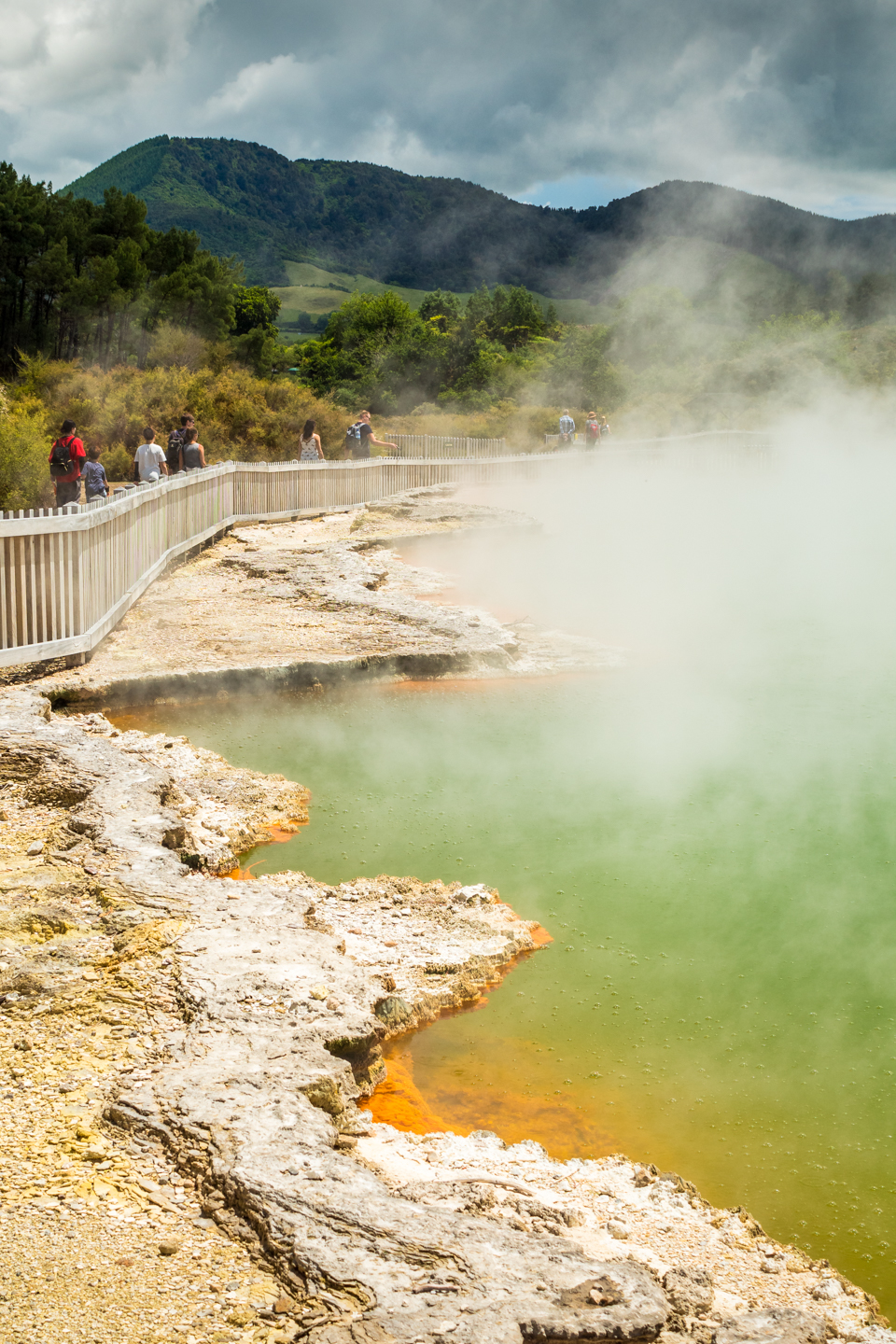 CRH_2018_NZ-DAY_08-FROM_WONDERLAND_TO_TAUPO_4306.jpg