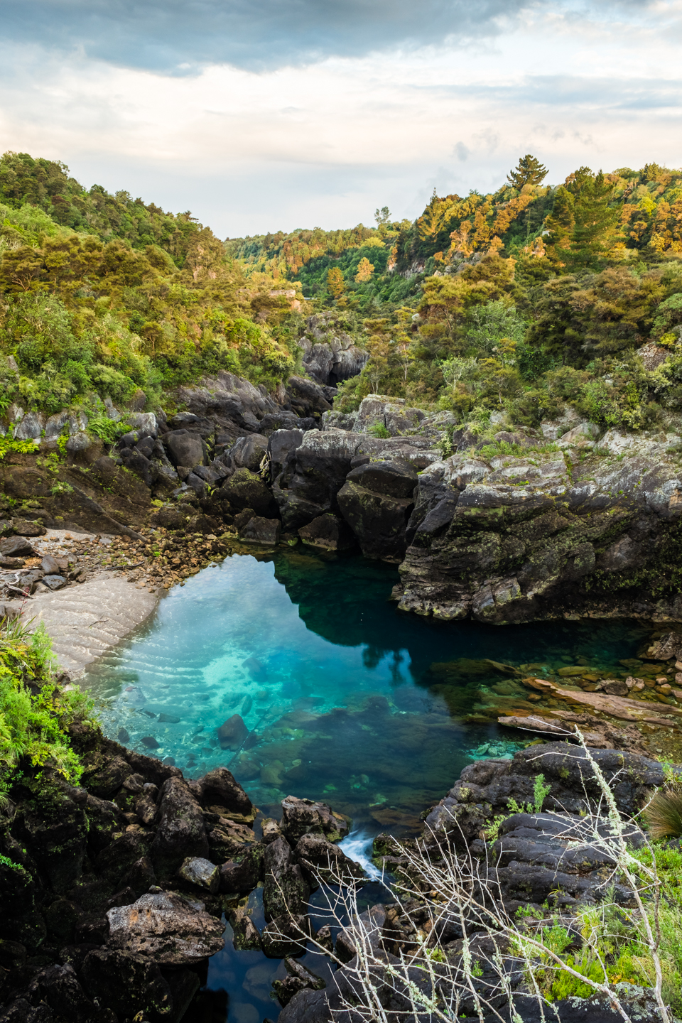 CRH_2018_NZ-DAY_08-FROM_WONDERLAND_TO_TAUPO_-4.jpg