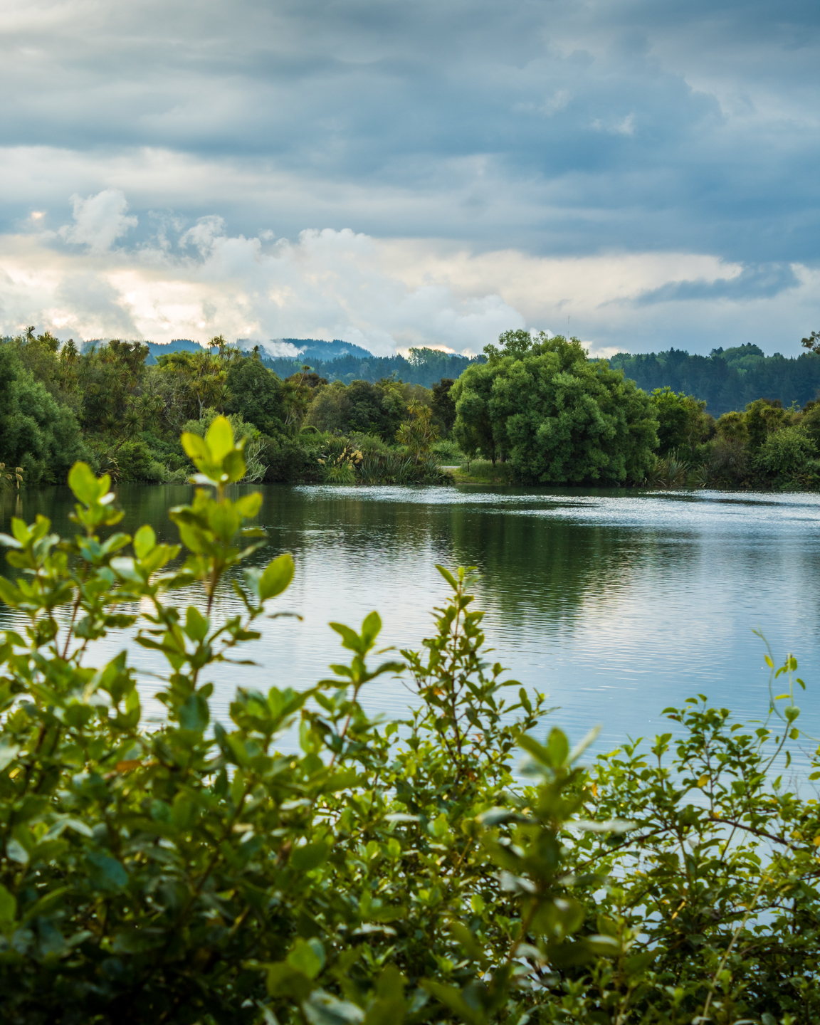 CRH_2018_NZ-DAY_08-FROM_WONDERLAND_TO_TAUPO_4328.jpg