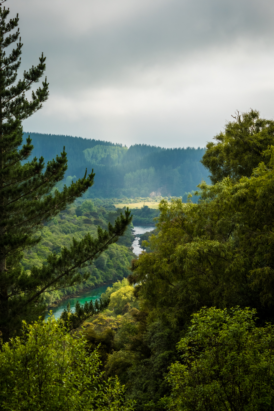 CRH_2018_NZ-DAY_09-TAUPO_-2.jpg