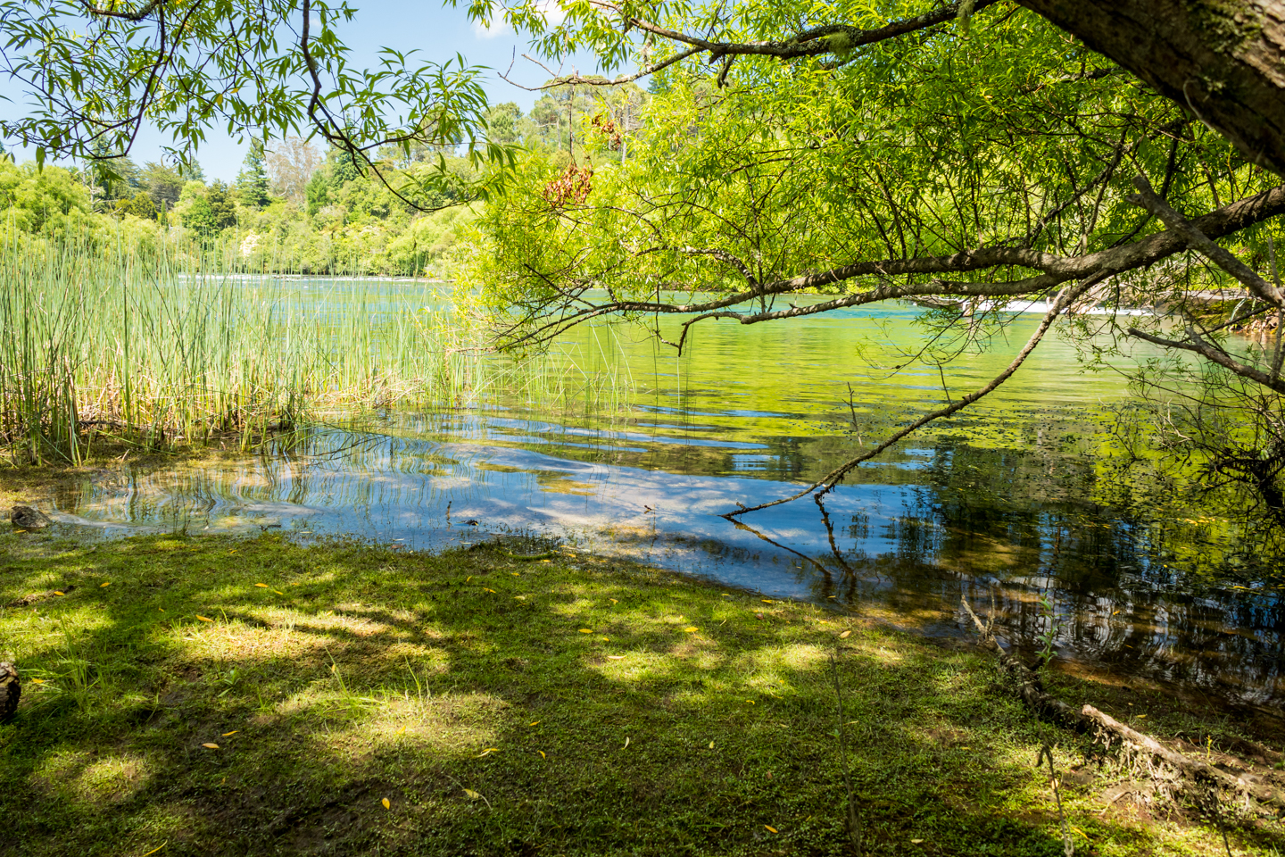 CRH_2018_NZ-DAY_09-TAUPO_4352.jpg