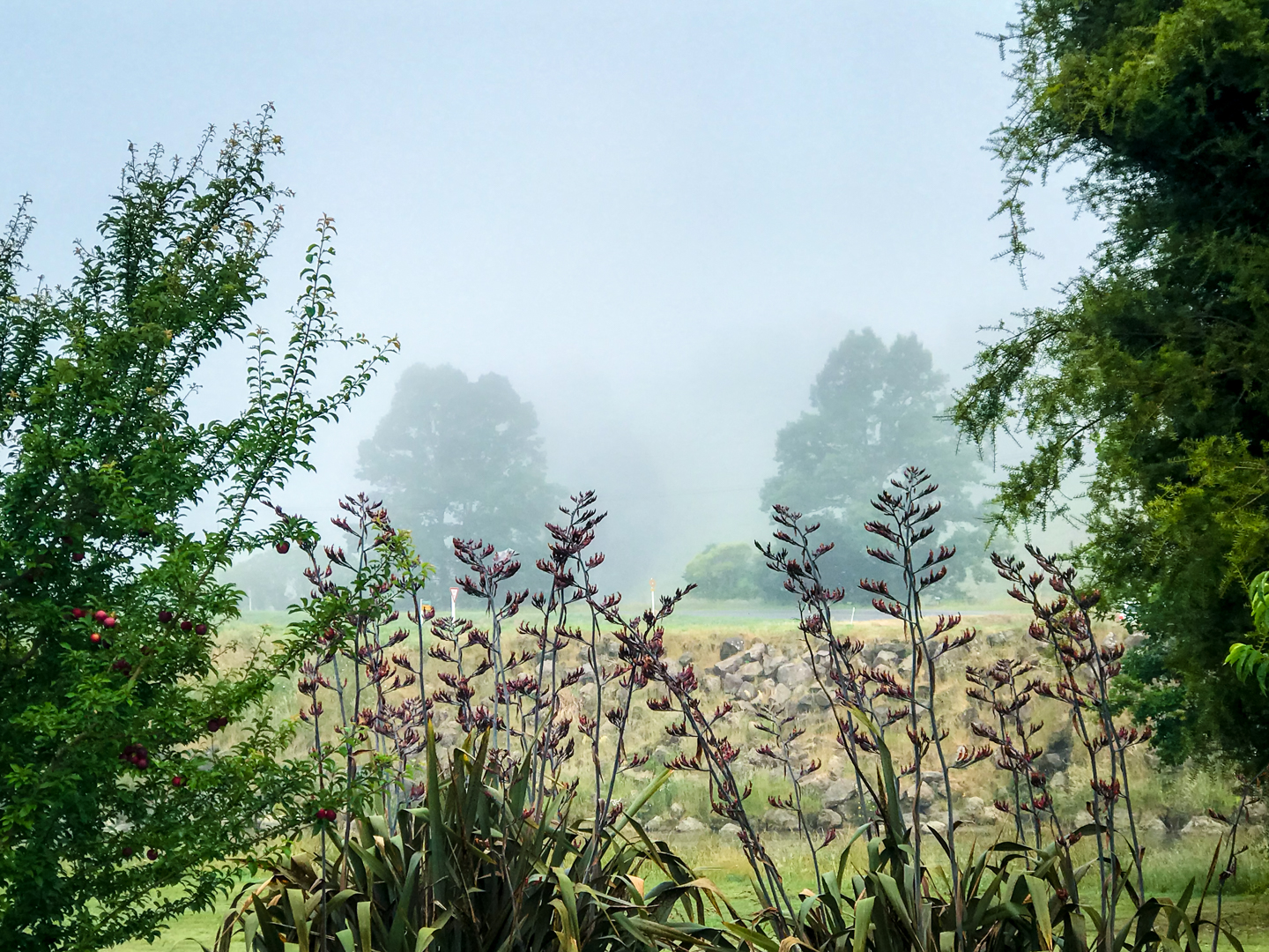 CRH_2018_NZ-DAY_11-WAITOMO_CAVES_4451.jpg