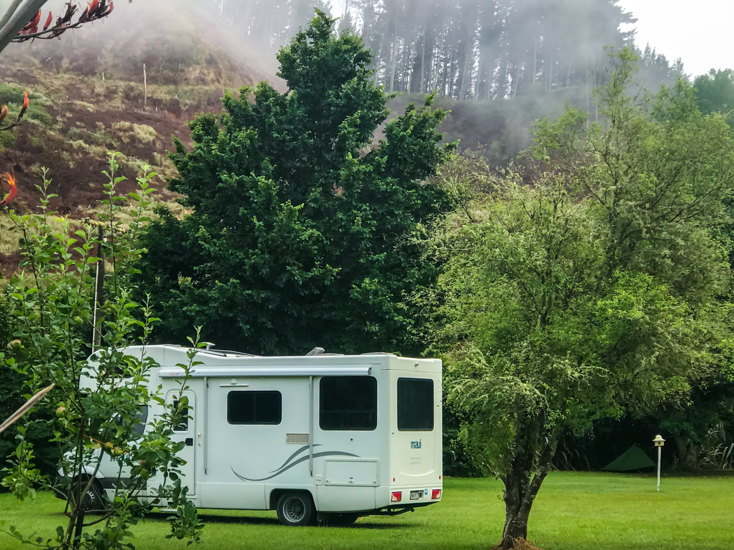 CRH_2018_NZ-DAY_11-WAITOMO_CAVES_4454.jpg