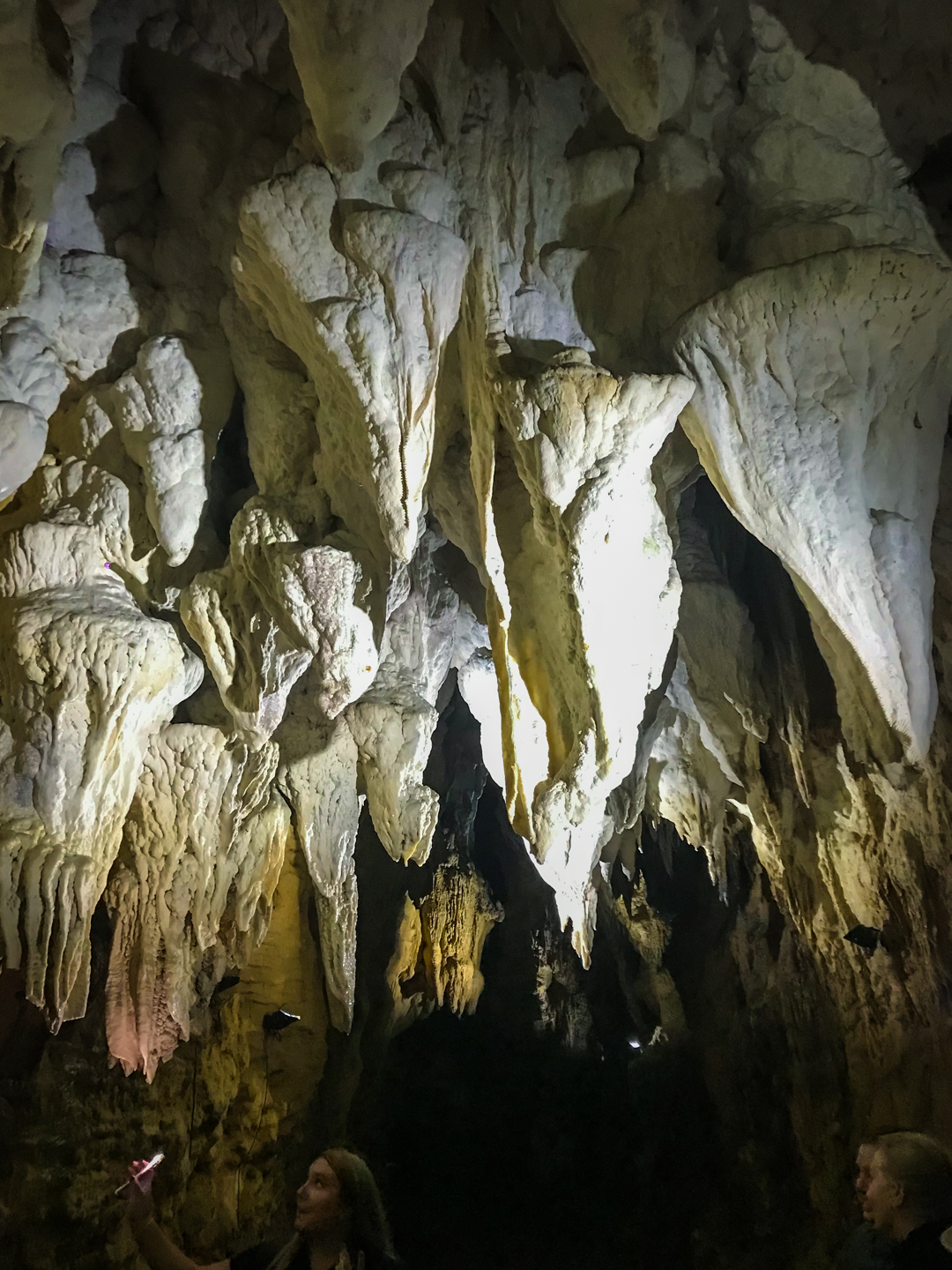 CRH_2018_NZ-DAY_11-WAITOMO_CAVES_4455.jpg