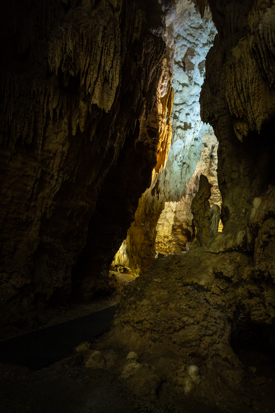 CRH_2018_NZ-DAY_11-WAITOMO_CAVES_4456.jpg