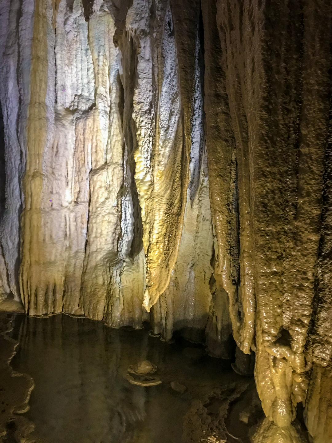 CRH_2018_NZ-DAY_11-WAITOMO_CAVES_4459.jpg