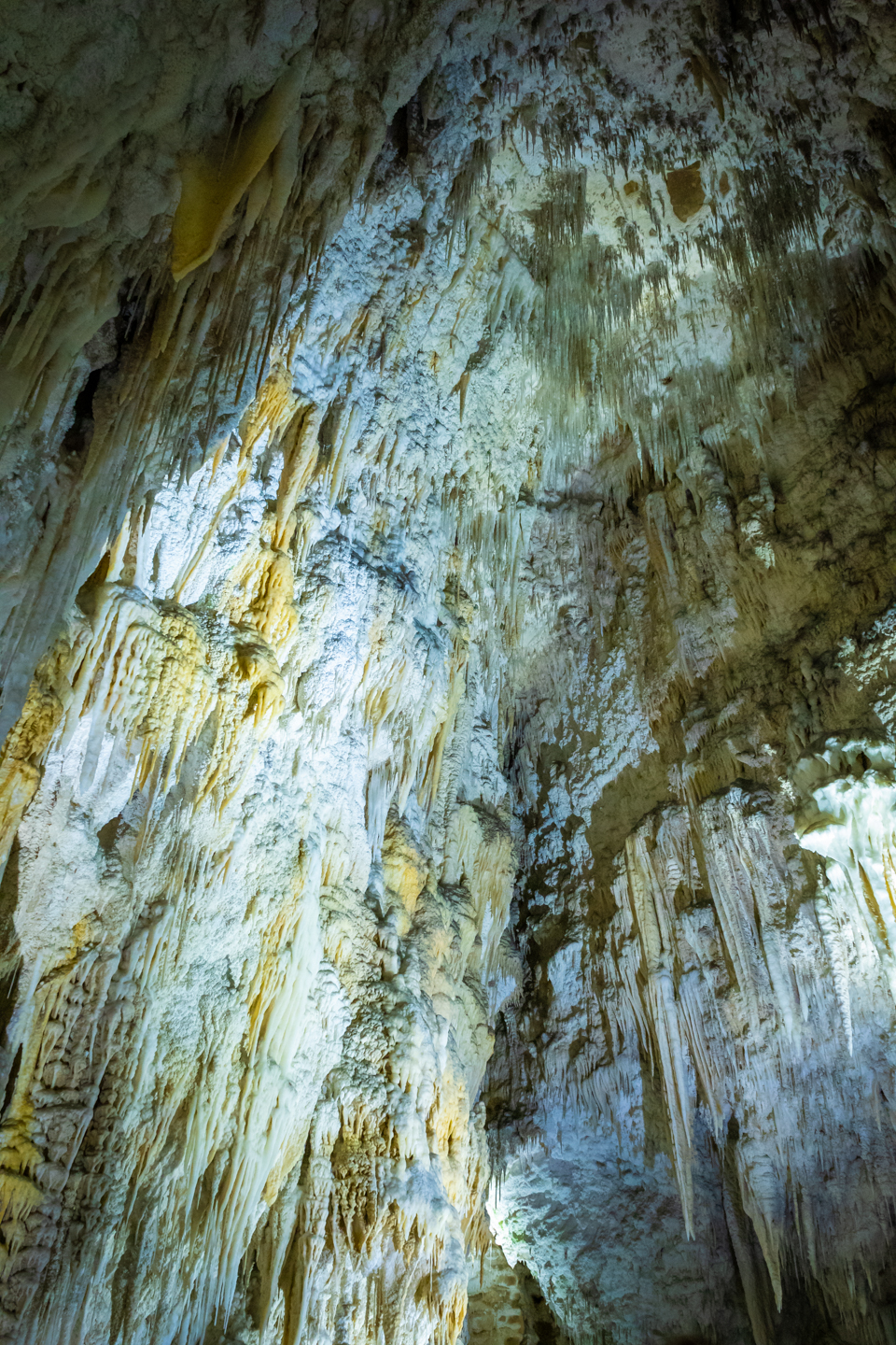 CRH_2018_NZ-DAY_11-WAITOMO_CAVES_4467.jpg