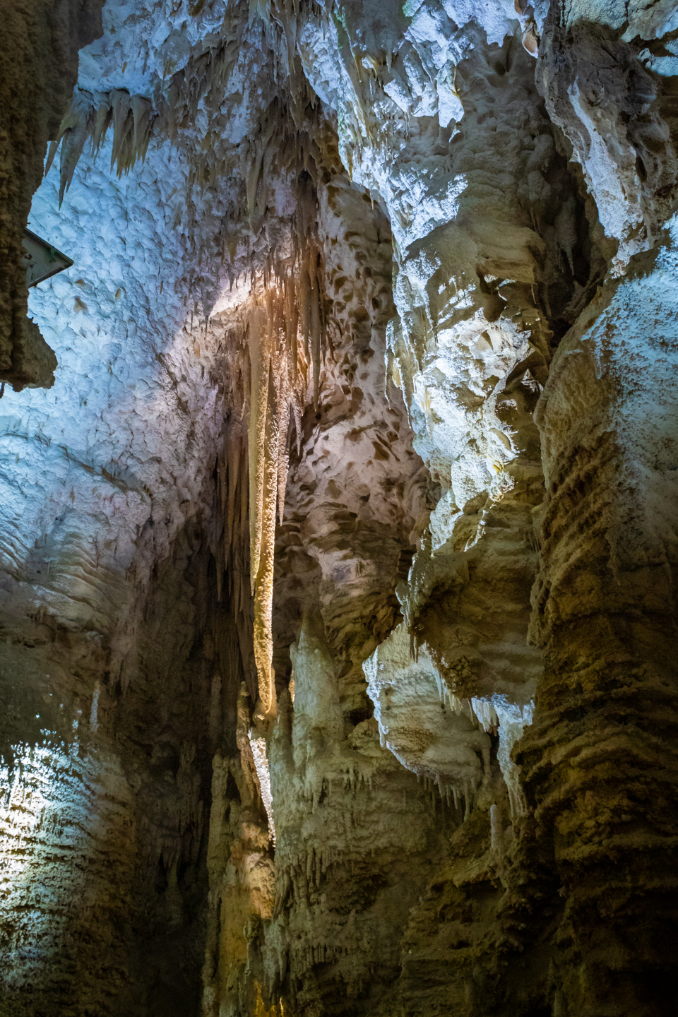 CRH_2018_NZ-DAY_11-WAITOMO_CAVES_4469.jpg