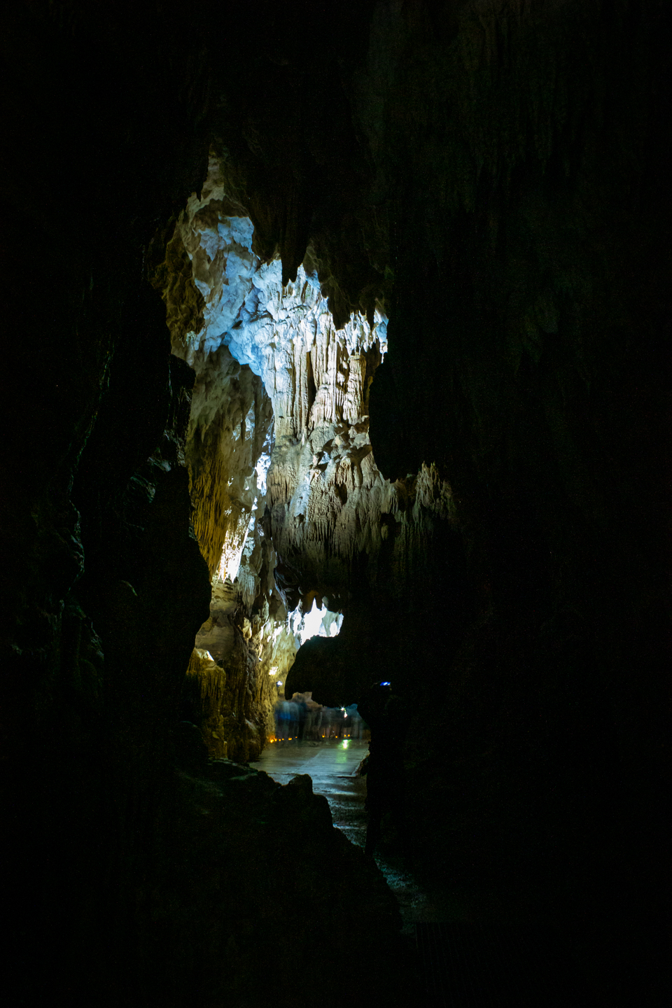 CRH_2018_NZ-DAY_11-WAITOMO_CAVES_4470.jpg