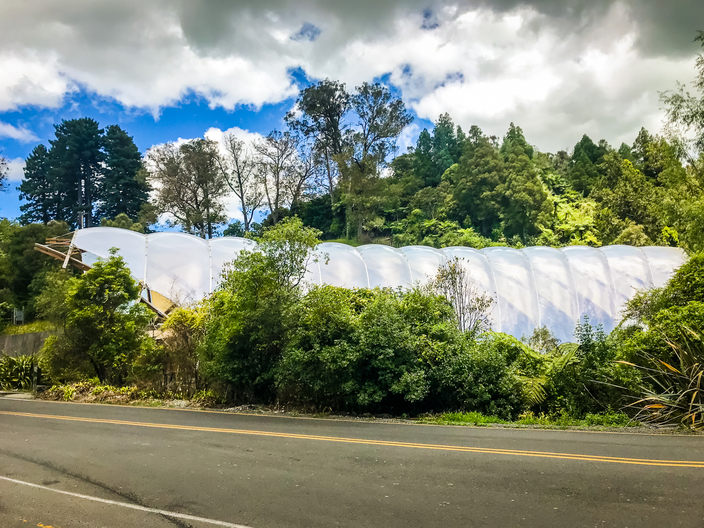 CRH_2018_NZ-DAY_11-WAITOMO_CAVES_4472-2.jpg