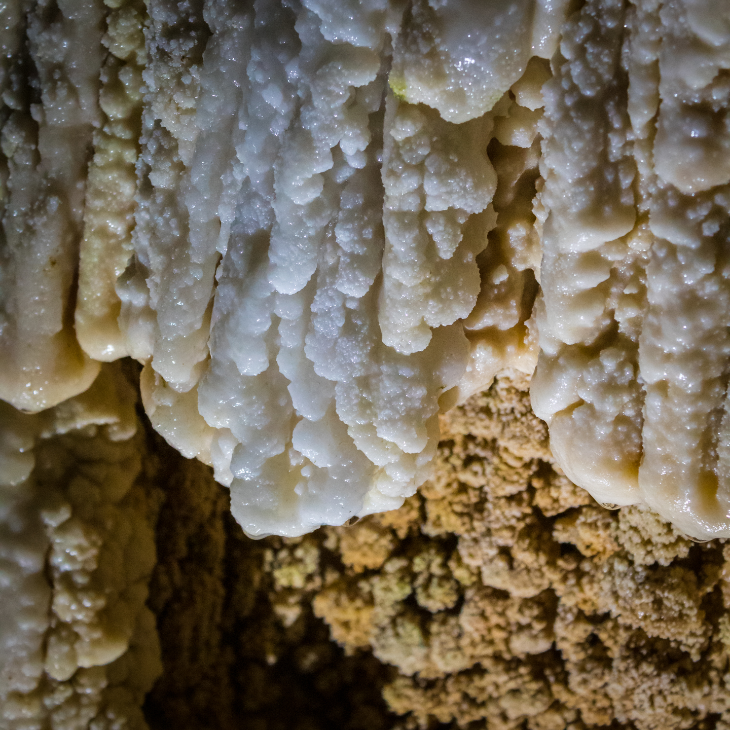 CRH_2018_NZ-DAY_11-WAITOMO_CAVES_4478.jpg