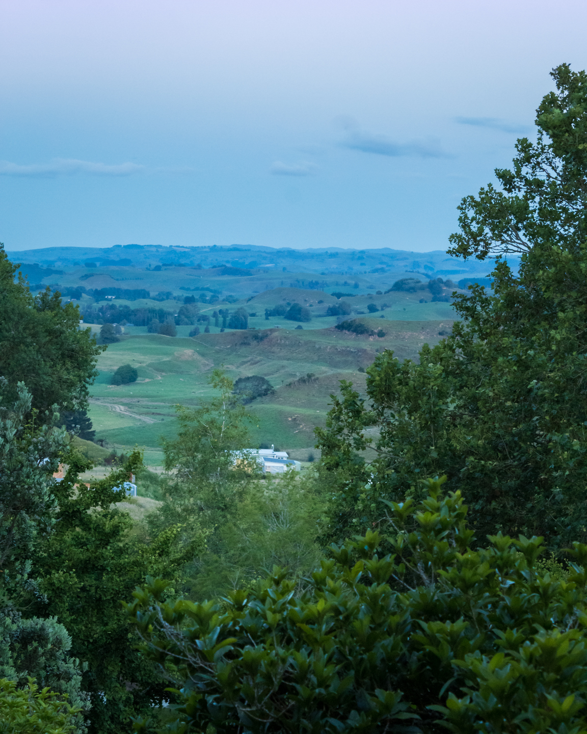 CRH_2018_NZ-DAY_11-WAITOMO_CAVES_4498.jpg