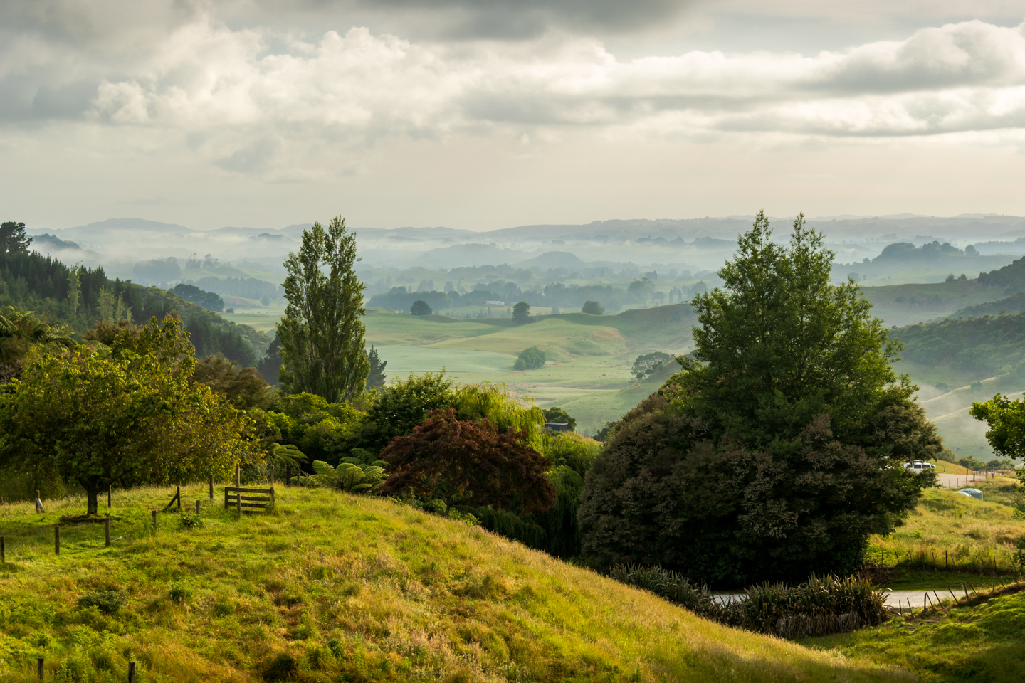 CRH_2018_NZ_LAST_DAYS_AUCKLAND_4506.jpg