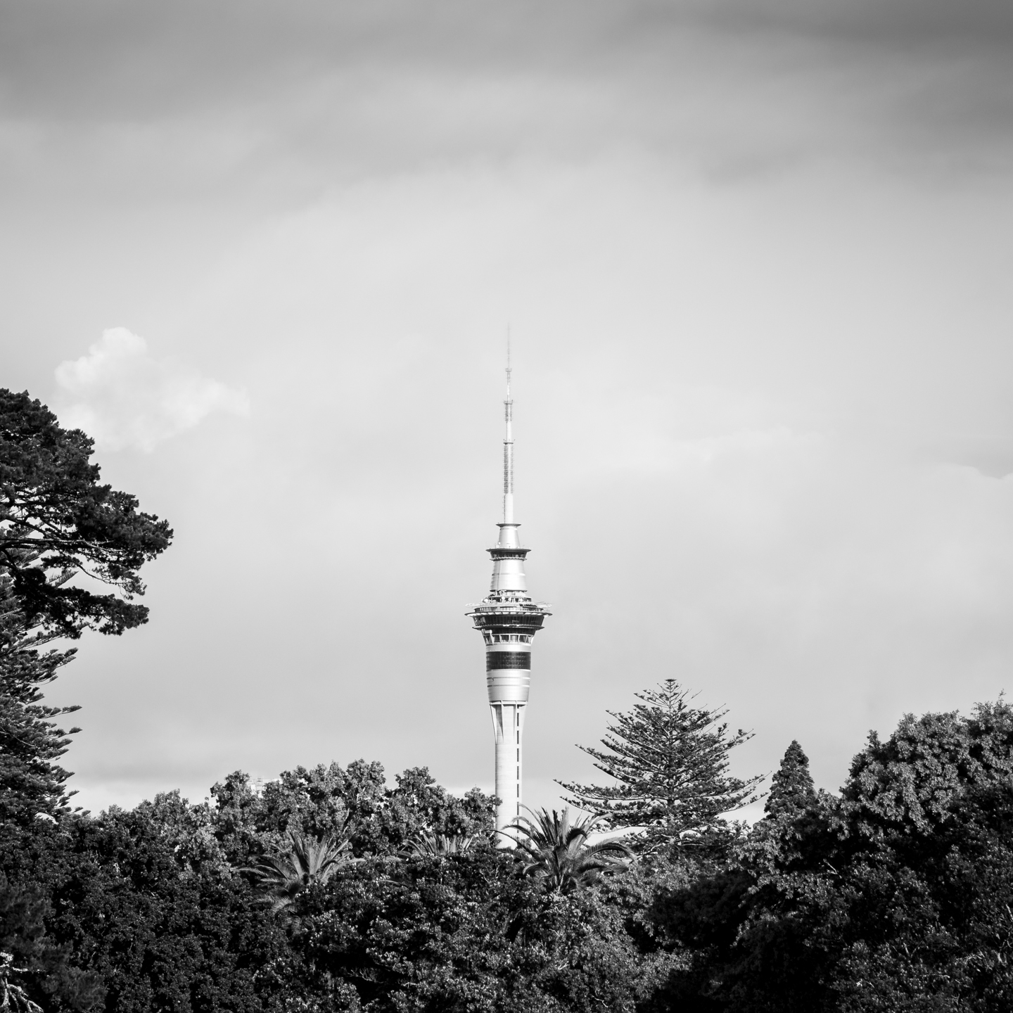 CRH_2018_NZ_LAST_DAYS_AUCKLAND_4528.jpg