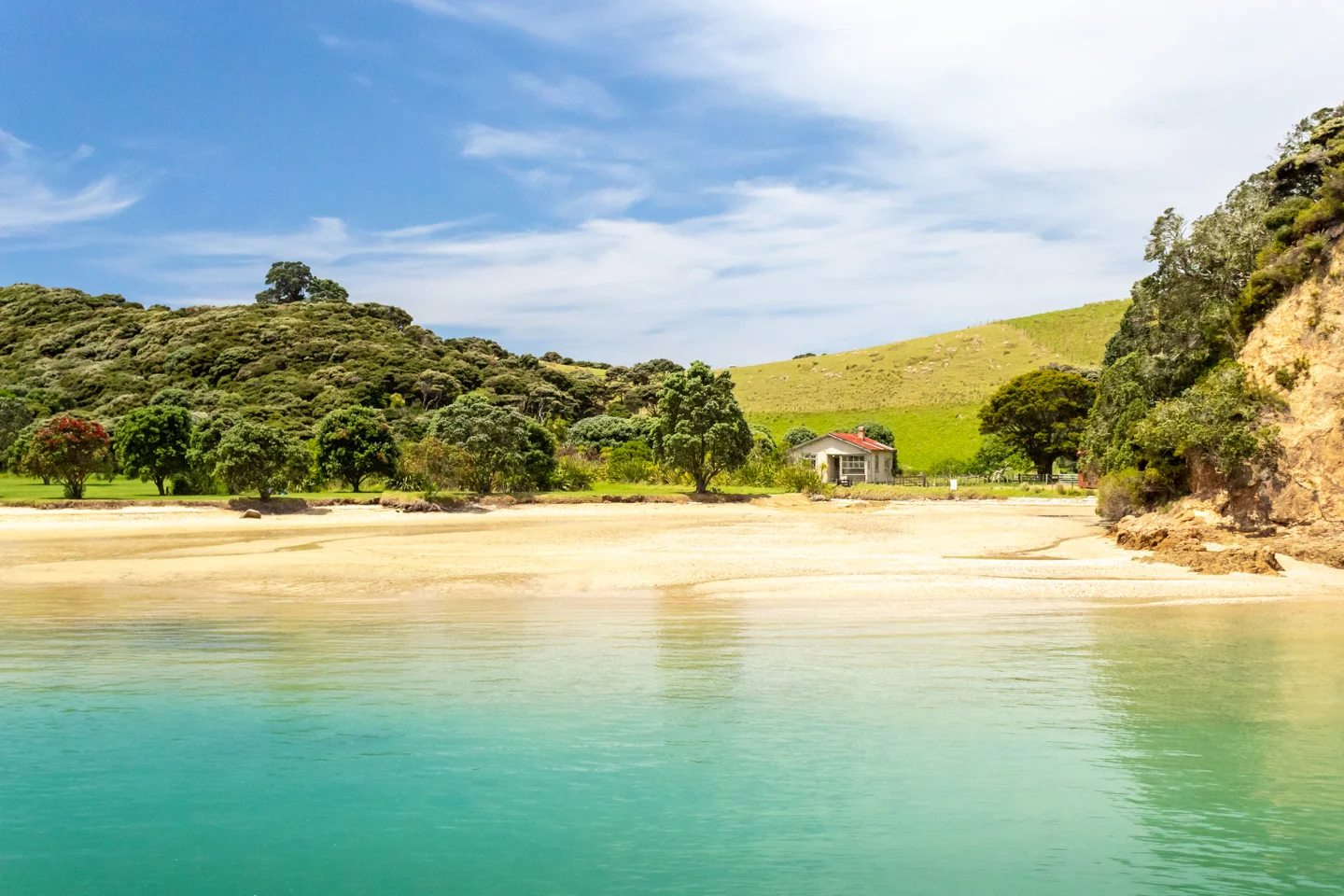 CRH_2018_NZ-D3-PAIHIA_3949.jpg