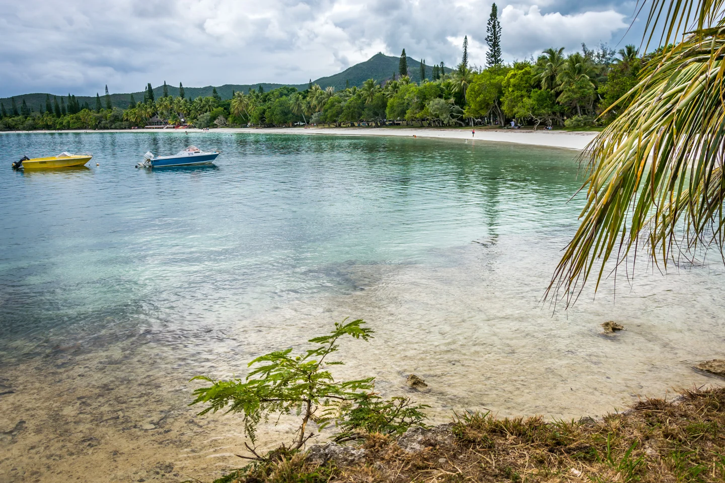 CRH_2014_A_PINE_GETAWAY_0342.jpg