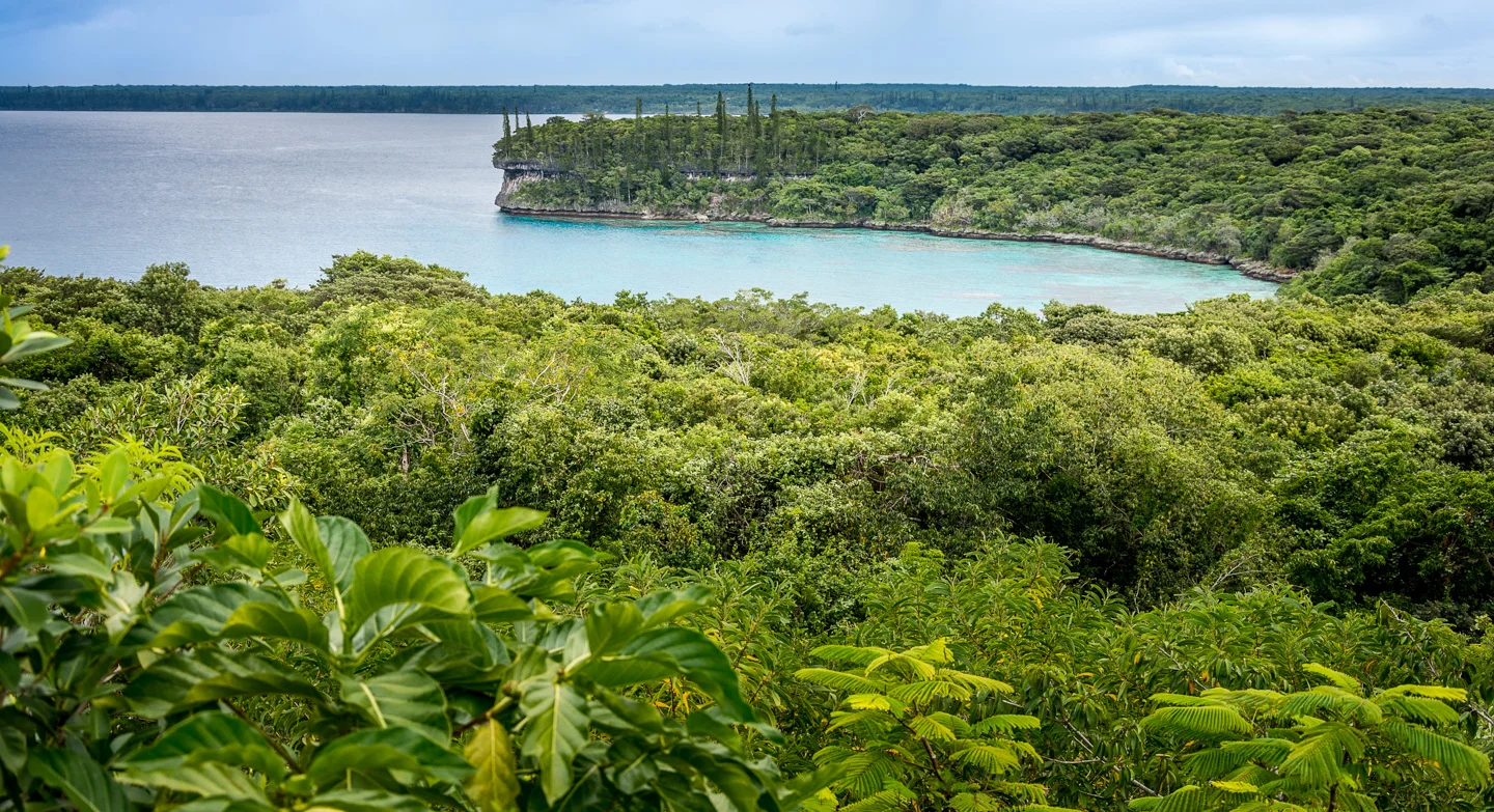 CRH_2014_GREEN_JINEK_0796.jpg
