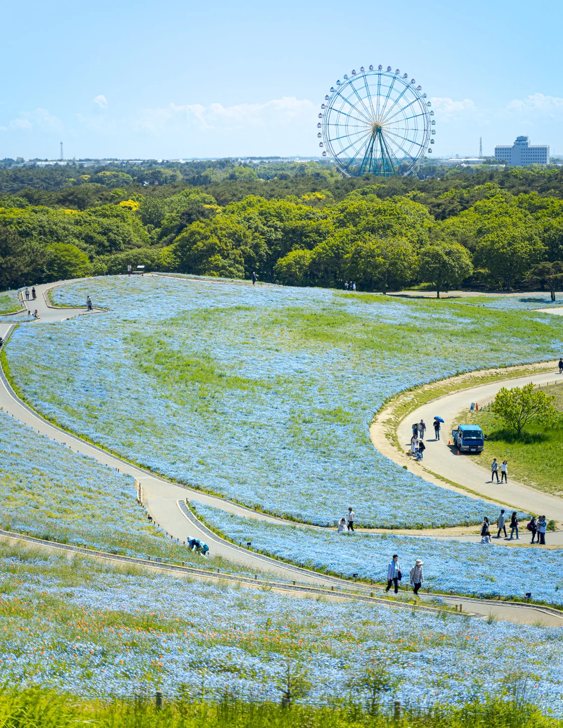 HITACHI SEASIDE PARK