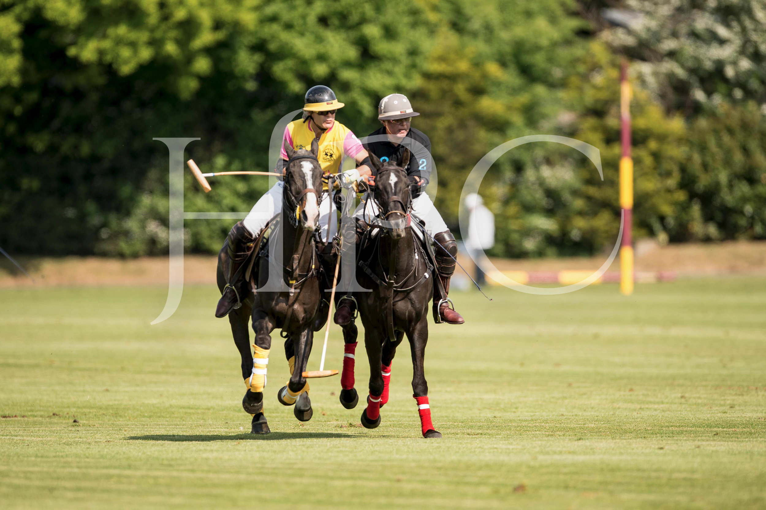 © 2017 Photographs by Robert Piper- All Rights Reserved 181 _.jpg