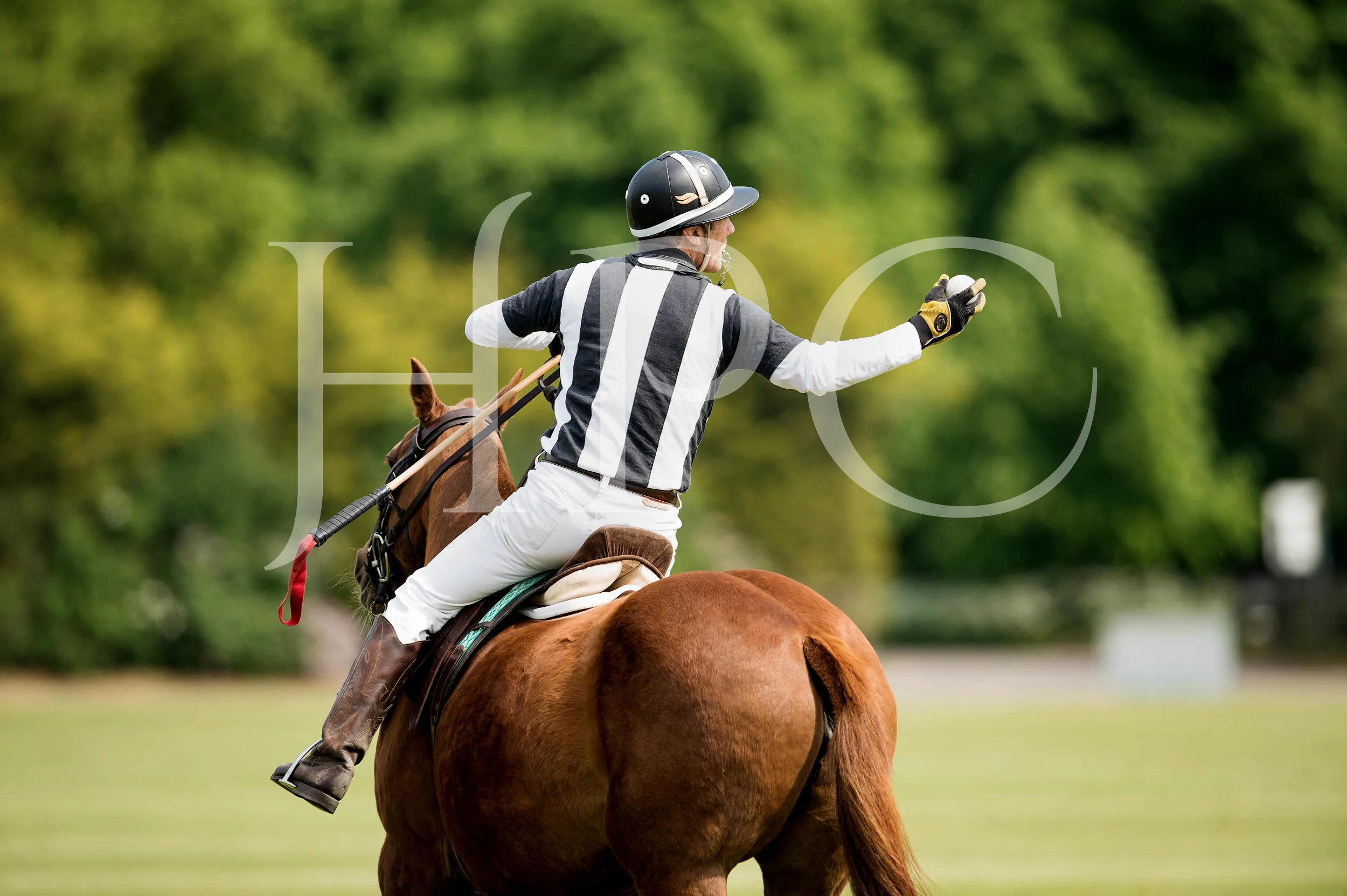 © 2017 Photographs by Robert Piper- All Rights Reserved 161 _.jpg