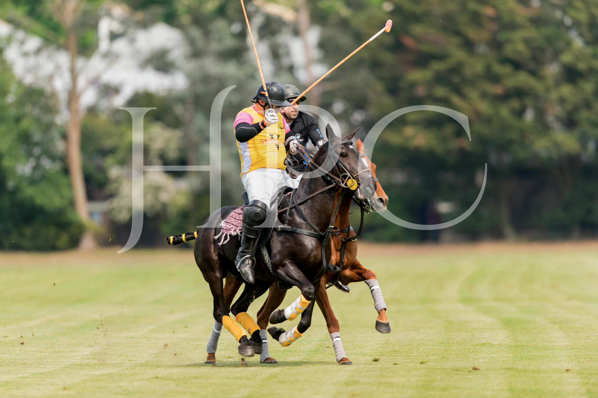 © 2017 Photographs by Robert Piper- All Rights Reserved 167 _.jpg