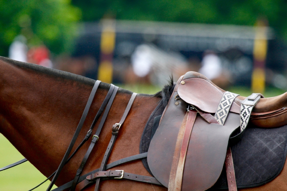 An Introduction to Polo Tack — Ham Polo Club