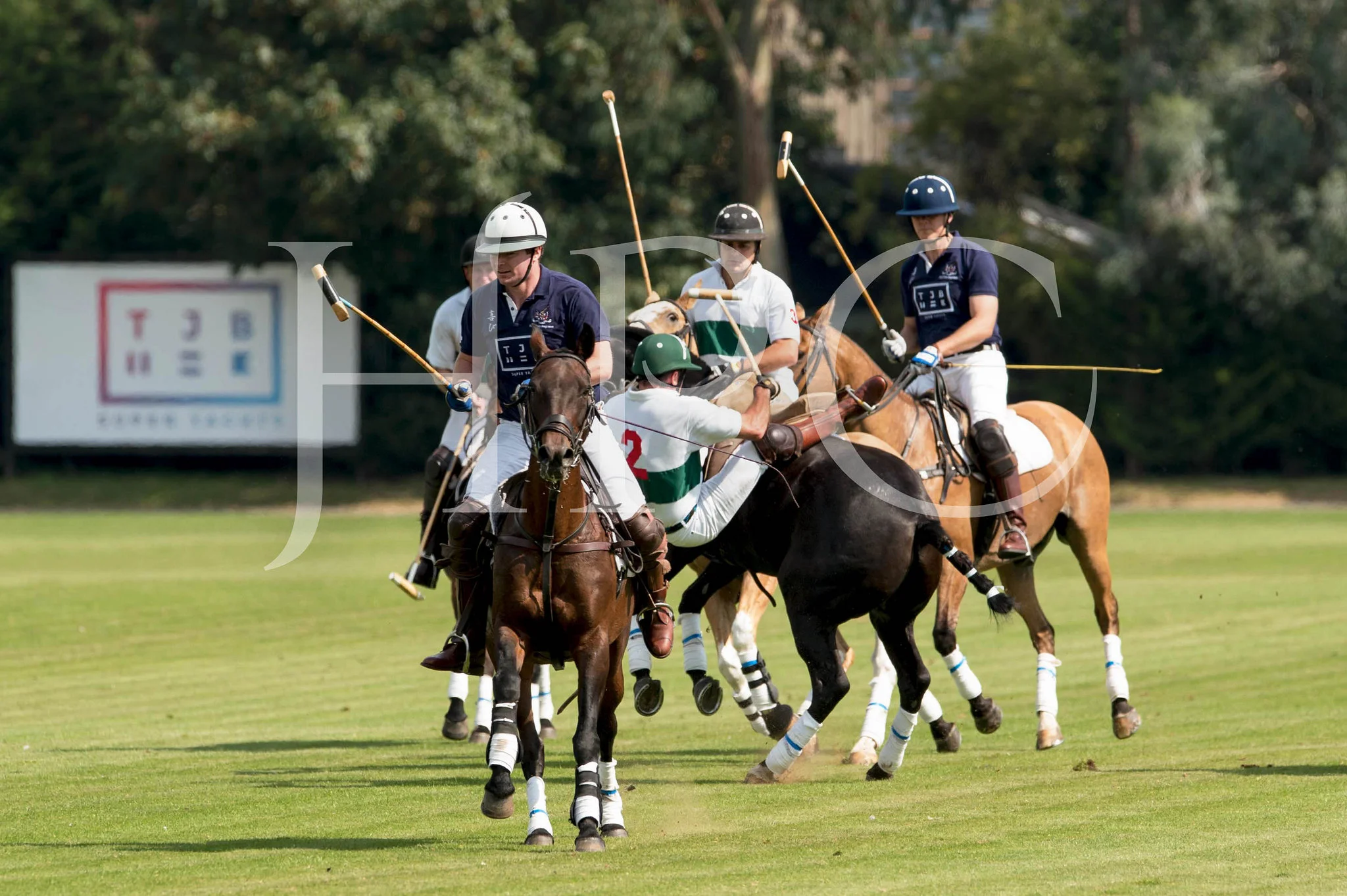 36961342831_f37a804d94_k (1).jpg