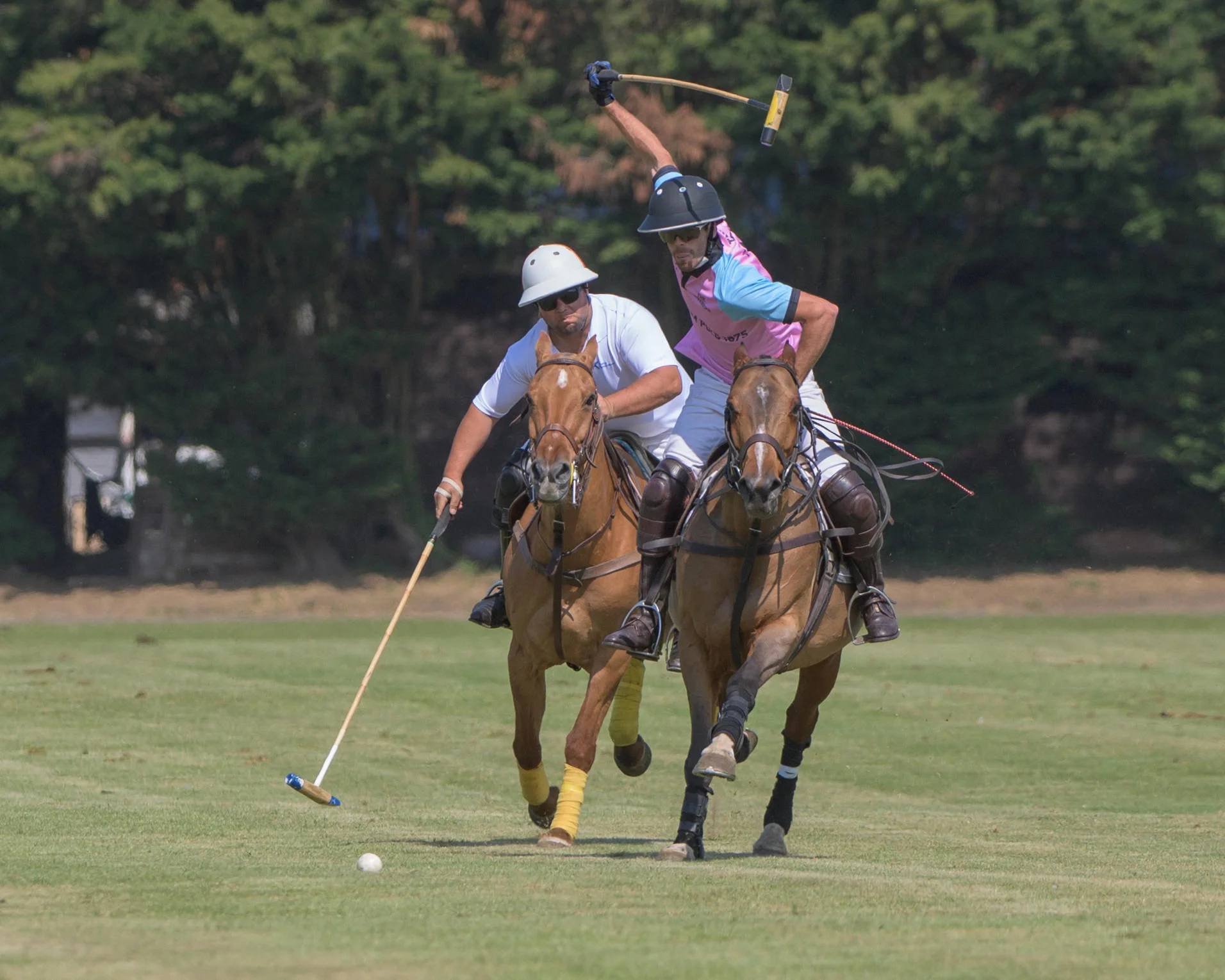 Juan Cruz Araya Martelli