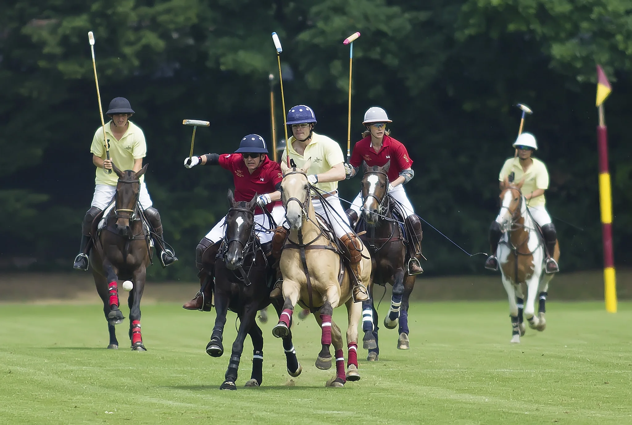 28942935418_ad97ba8443_k (1).jpg