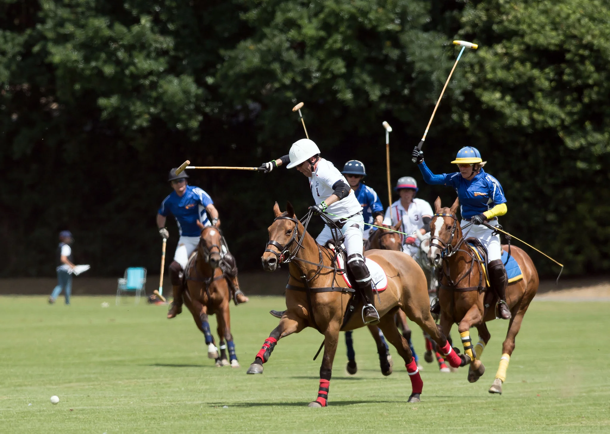 42323599814_c4075bf6db_k (1).jpg