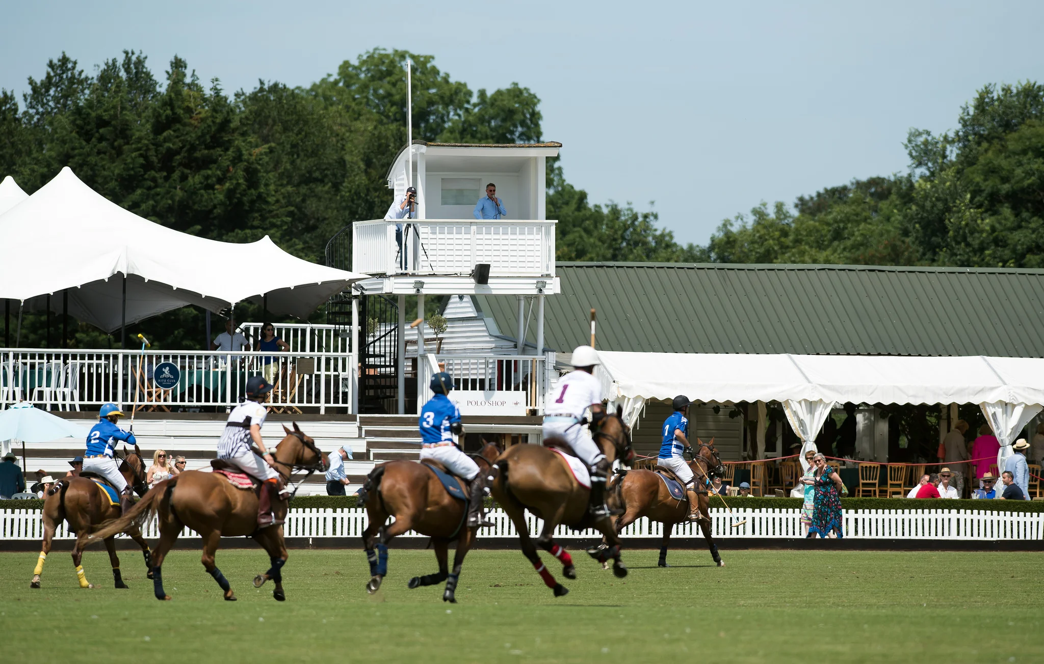 42323598784_fe5938d3d3_k (1).jpg