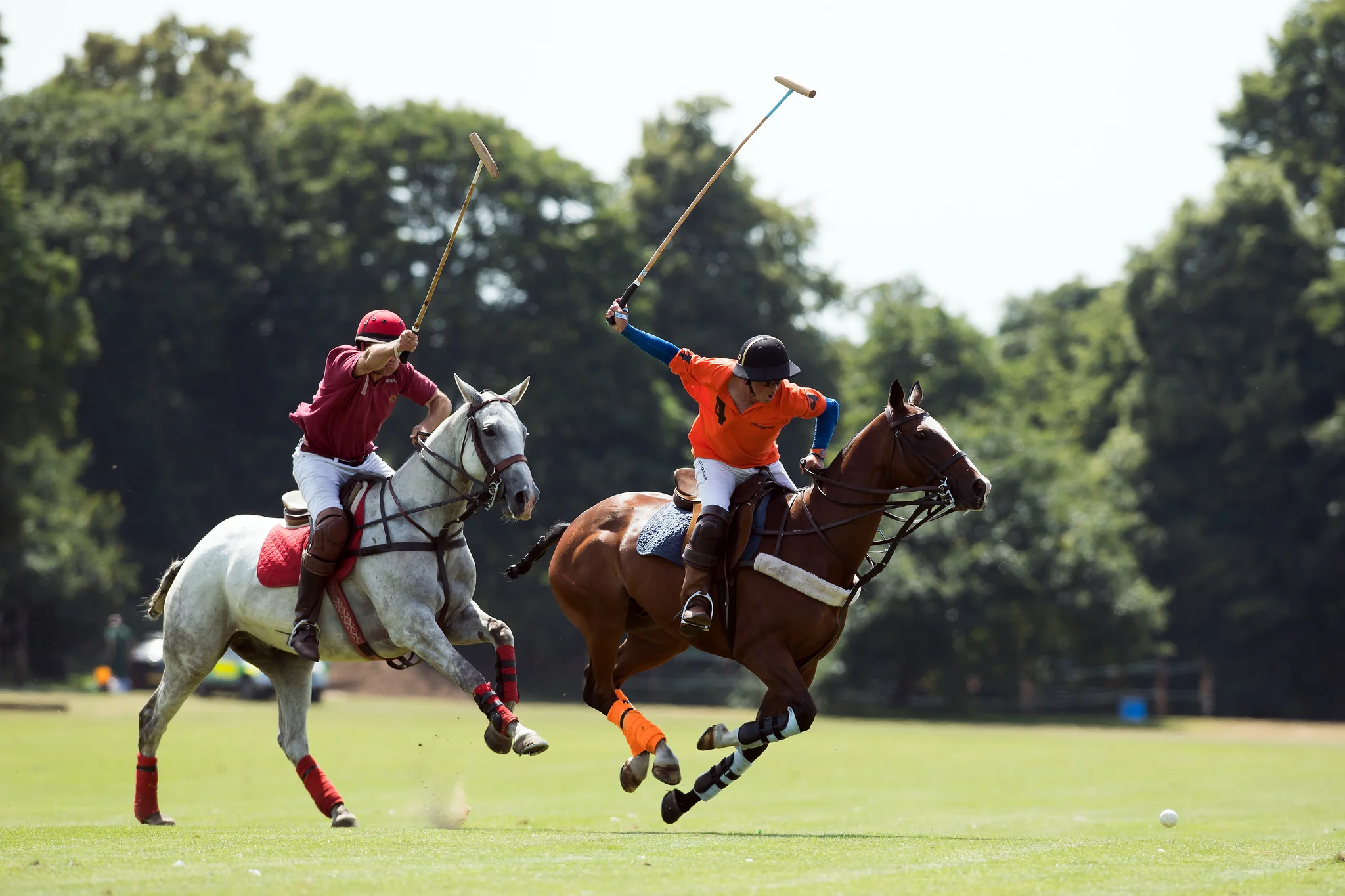 29170782498_07cdec1c29_k (1).jpg