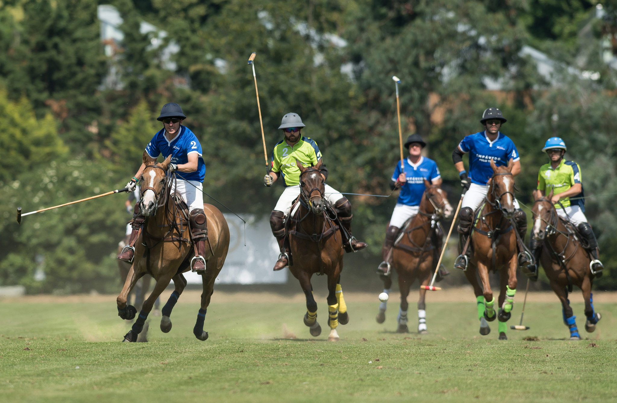 42992751912_2a708ae320_k (1).jpg