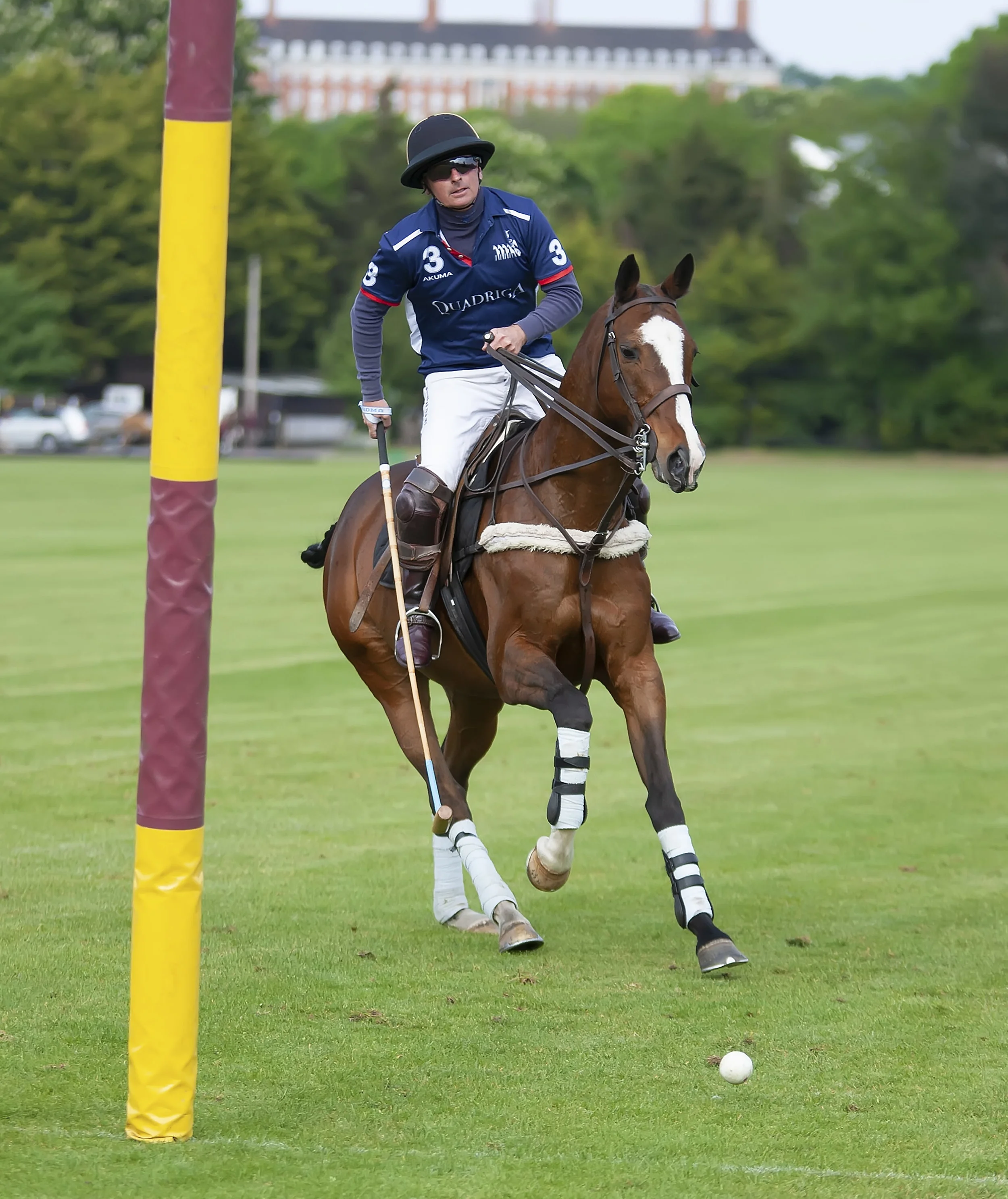 IPS-MG_Ham-Polo_05052019111.JPG