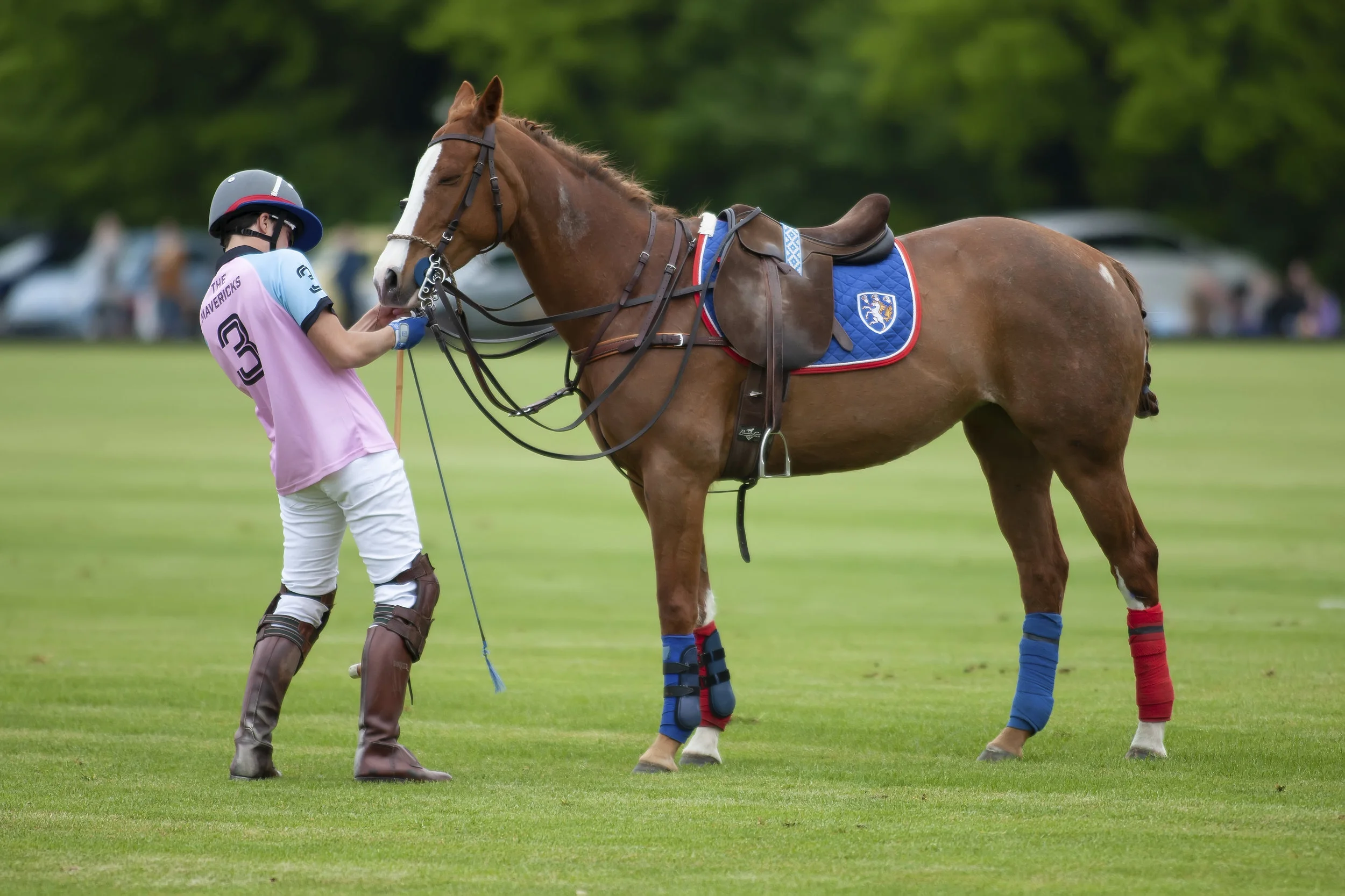 IPS-MG_Ham-Polo_05052019106.JPG