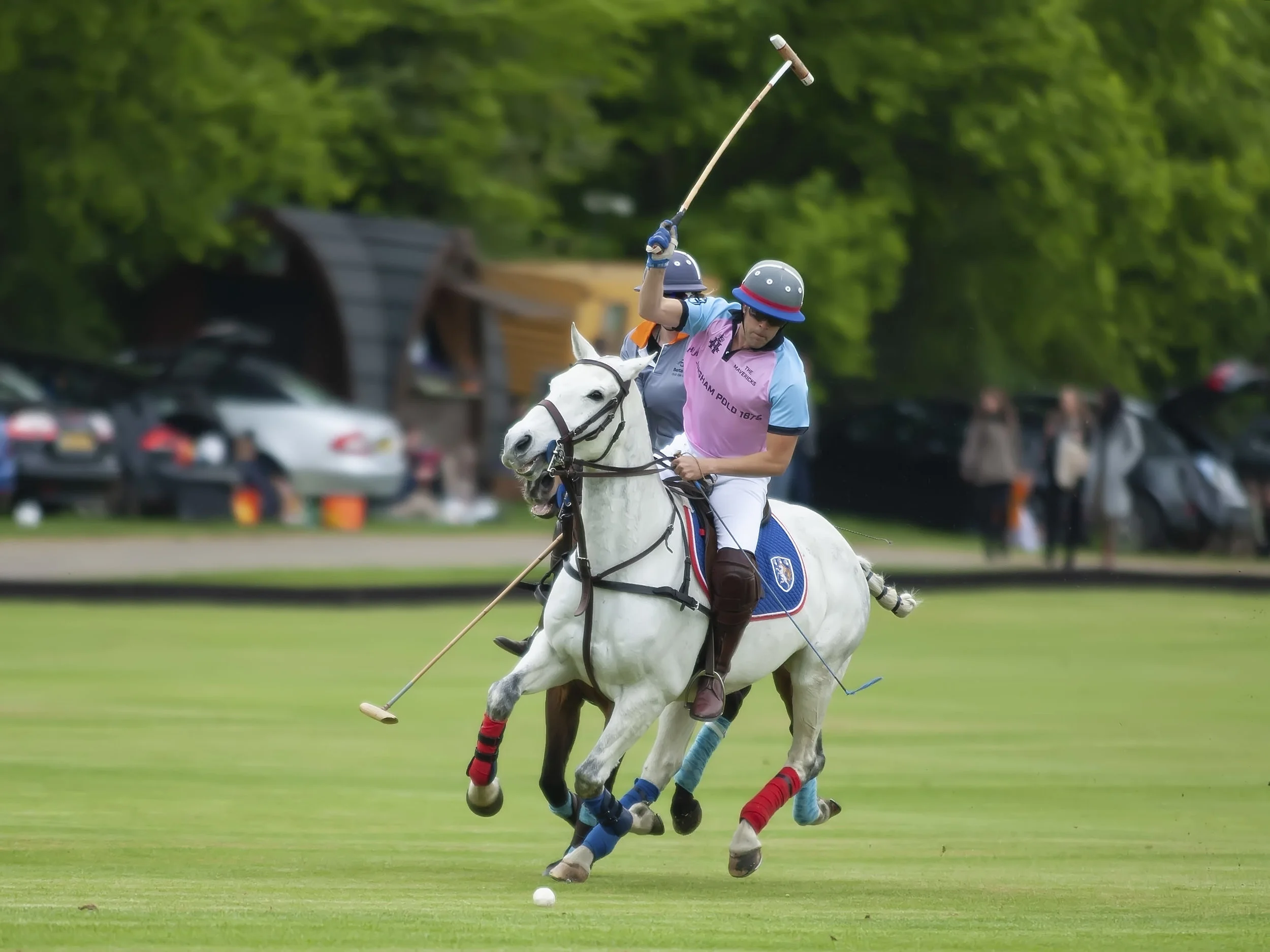 IPS-MG_Ham-Polo_05052019100.JPG