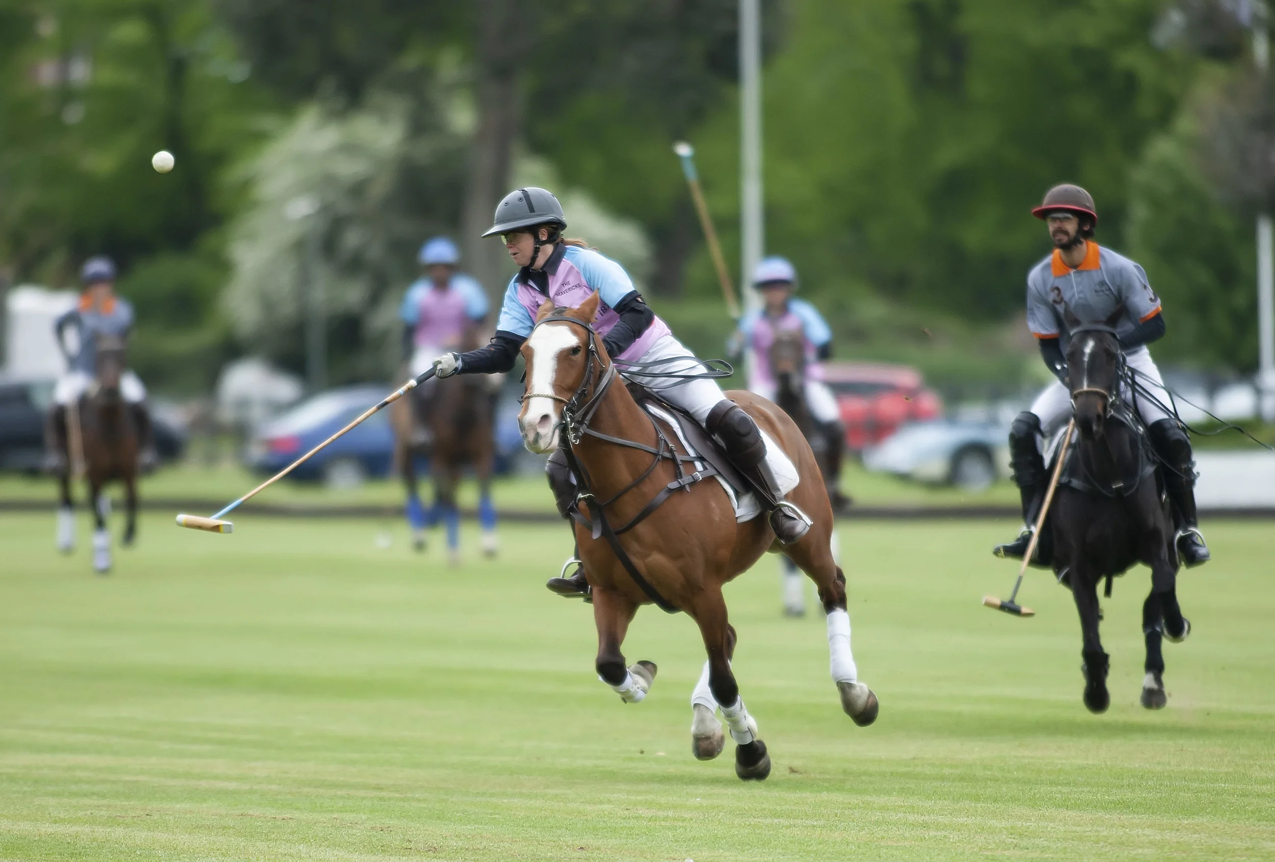 IPS-MG_Ham-Polo_05052019097.JPG