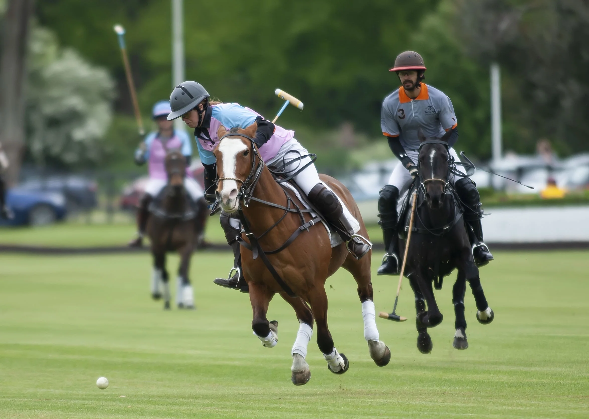 IPS-MG_Ham-Polo_05052019096.JPG