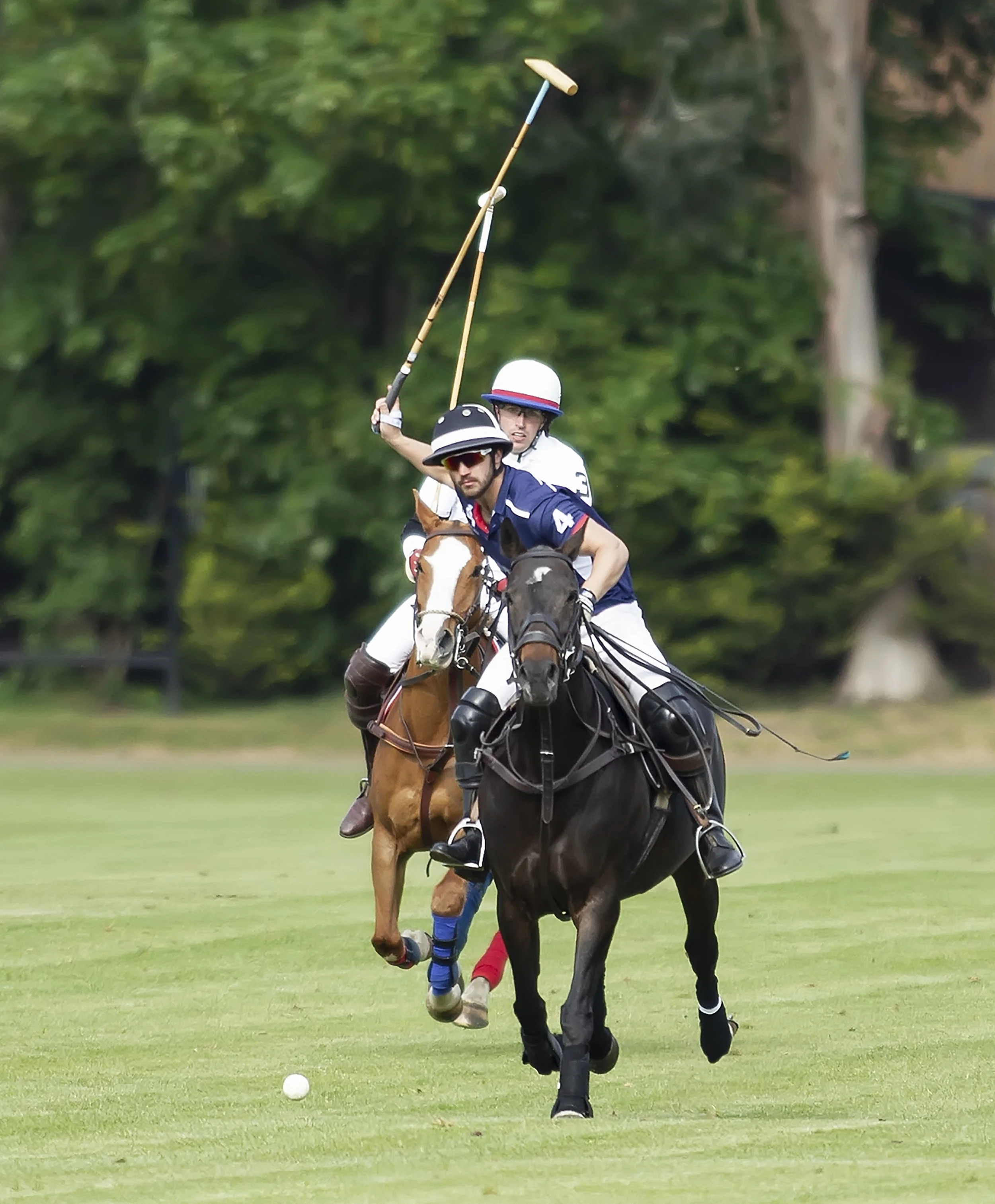 IPS-MG_Ham-Polo_05052019092.JPG