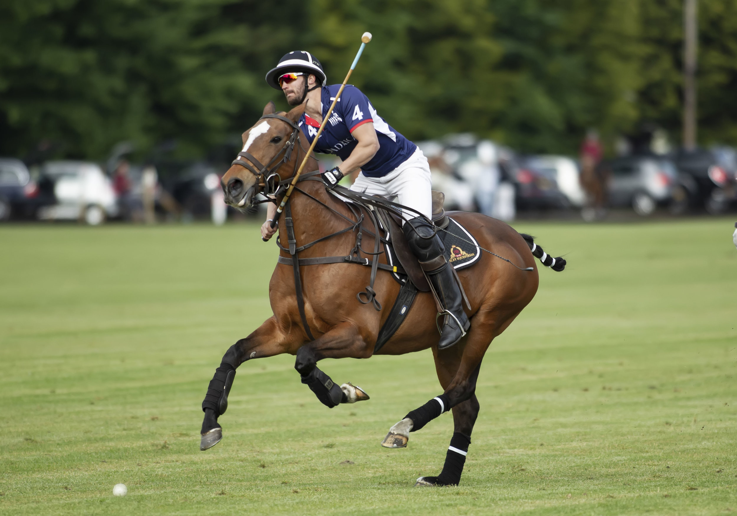 IPS-MG_Ham-Polo_05052019090.JPG