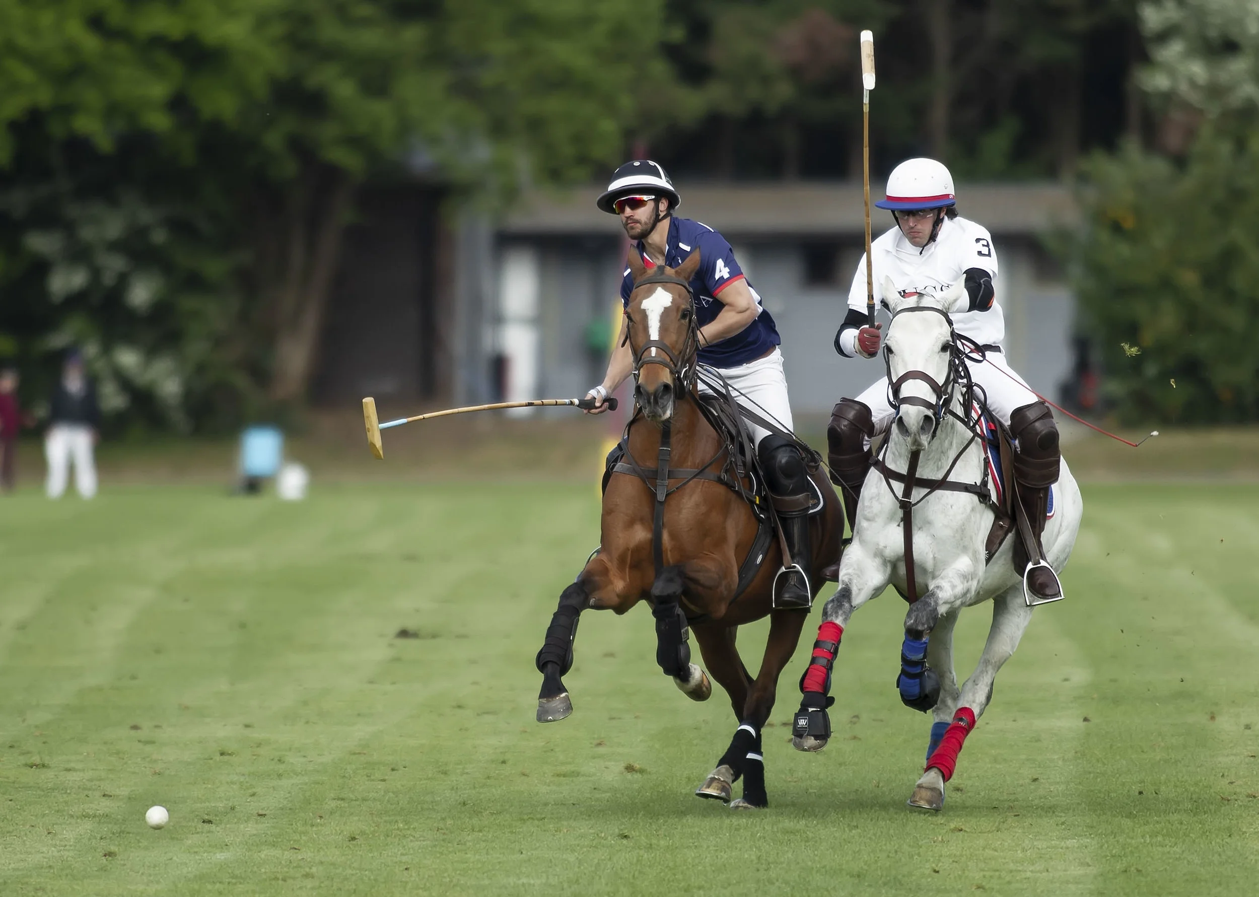 IPS-MG_Ham-Polo_05052019089.JPG