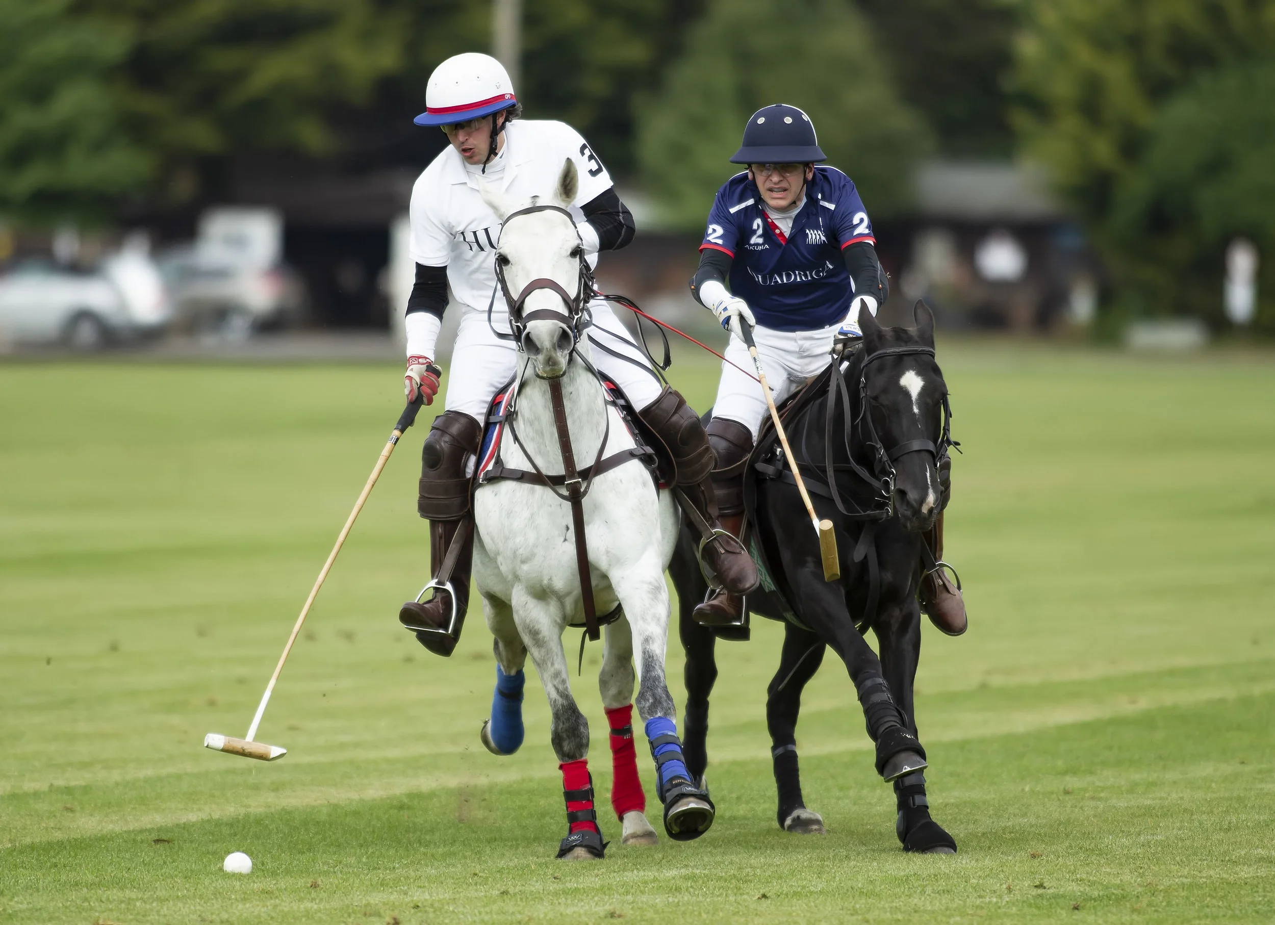 IPS-MG_Ham-Polo_05052019084.JPG
