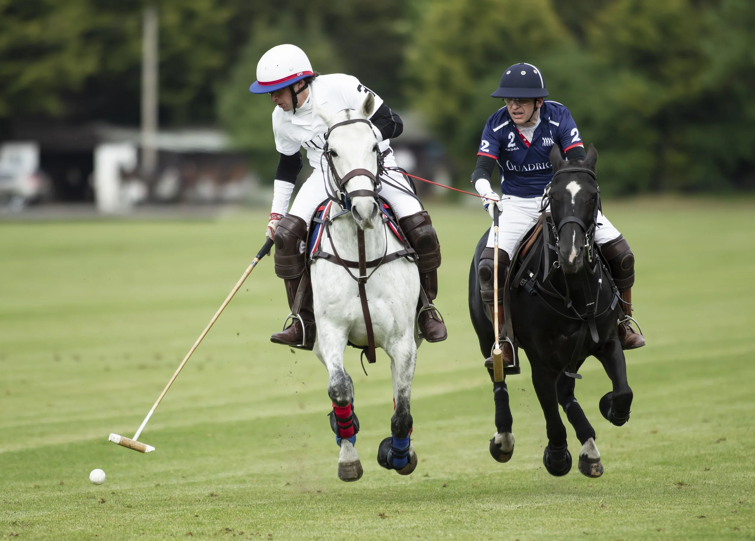 IPS-MG_Ham-Polo_05052019085.JPG
