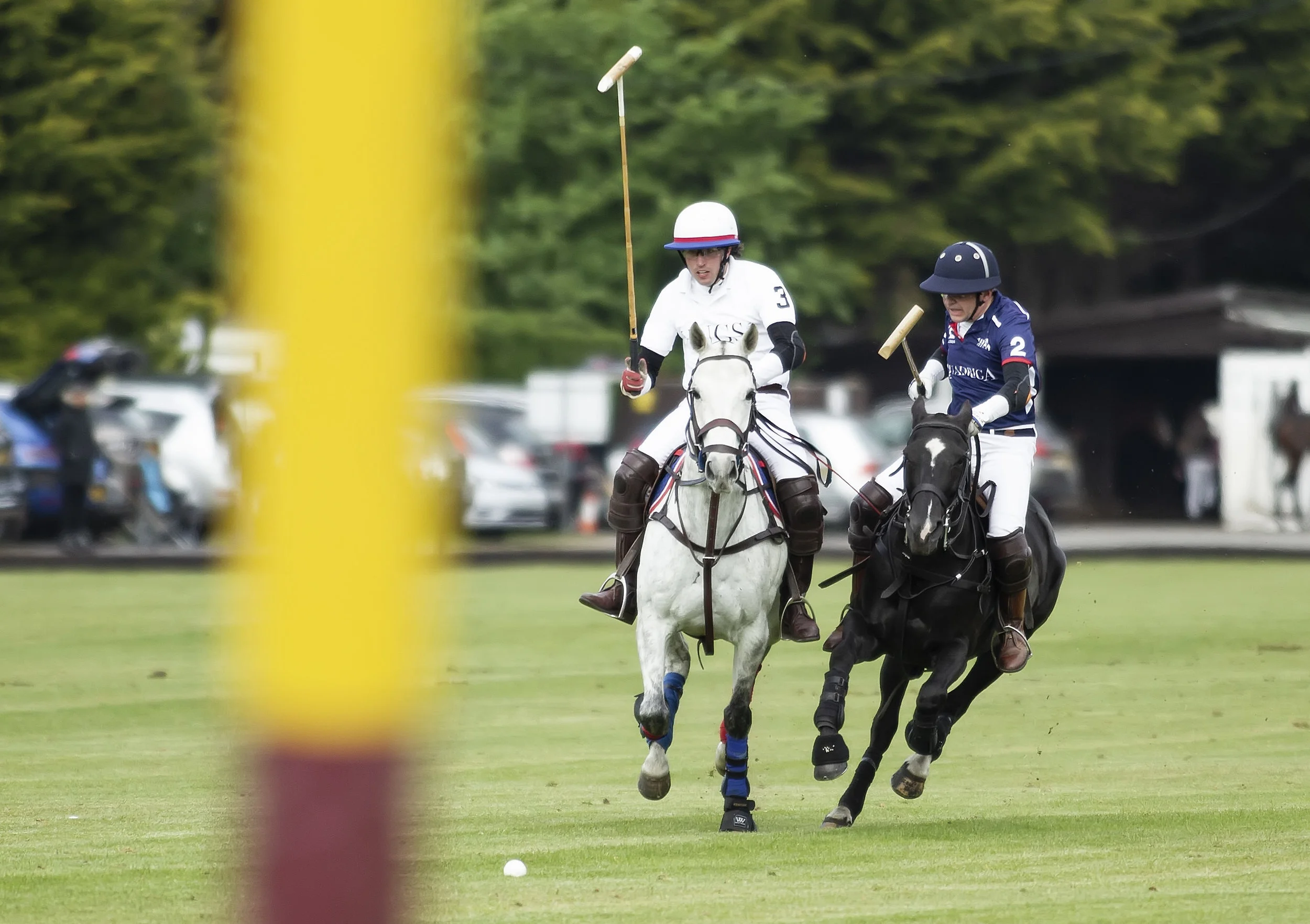 IPS-MG_Ham-Polo_05052019083.JPG