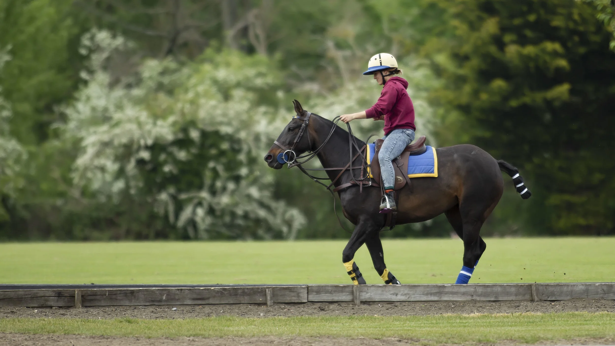 IPS-MG_Ham-Polo_05052019081.JPG
