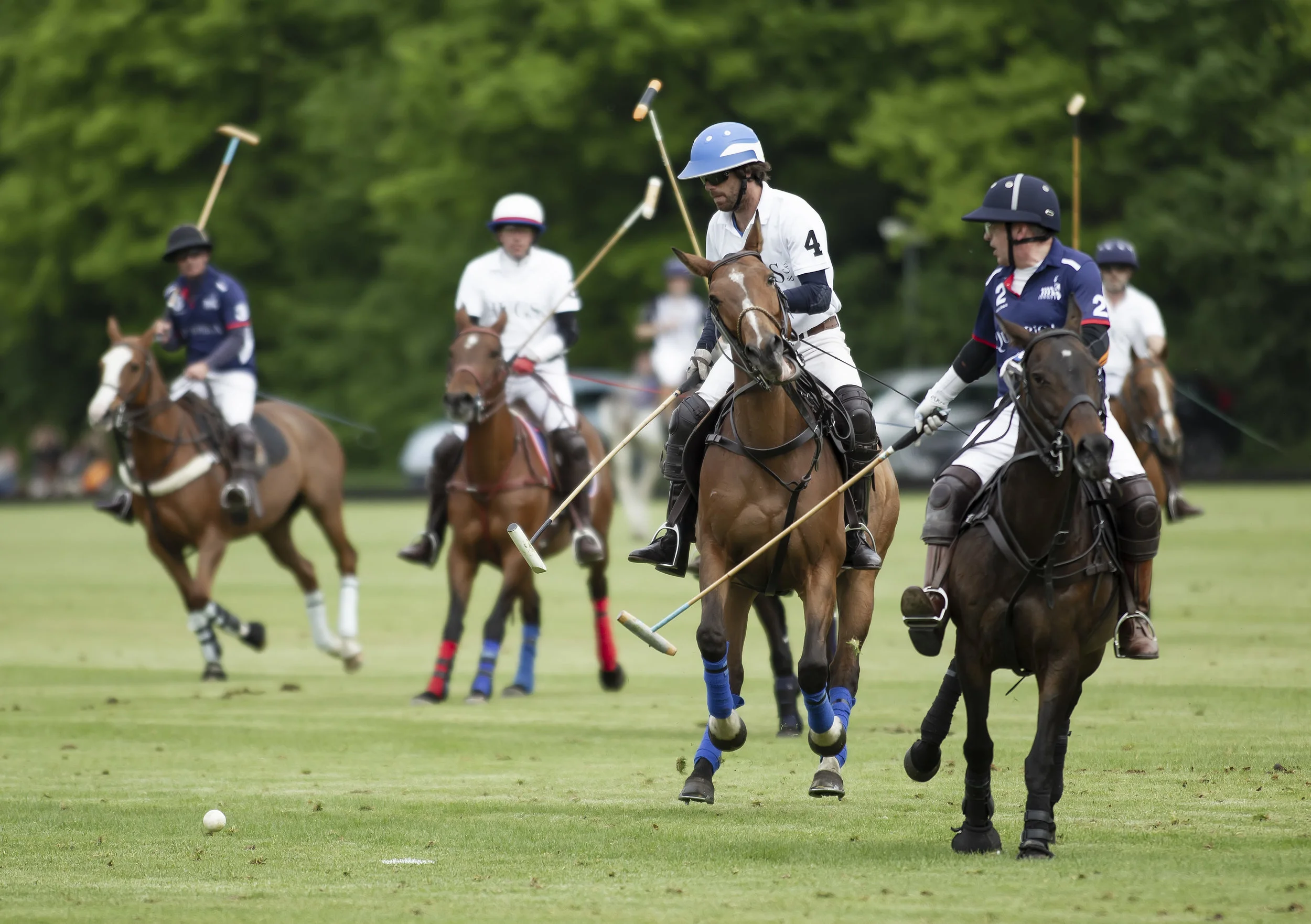 IPS-MG_Ham-Polo_05052019082.JPG