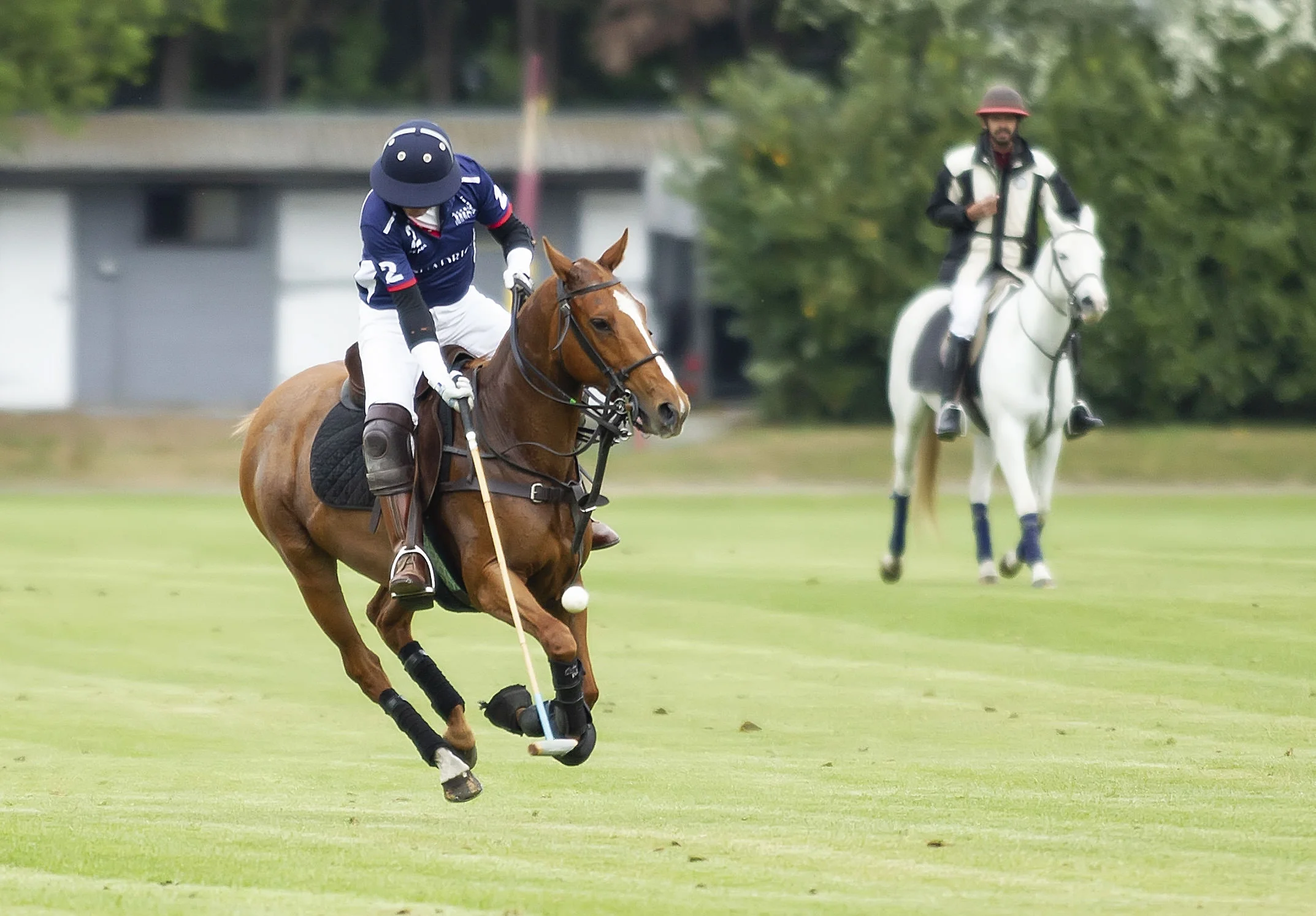 IPS-MG_Ham-Polo_05052019078.JPG