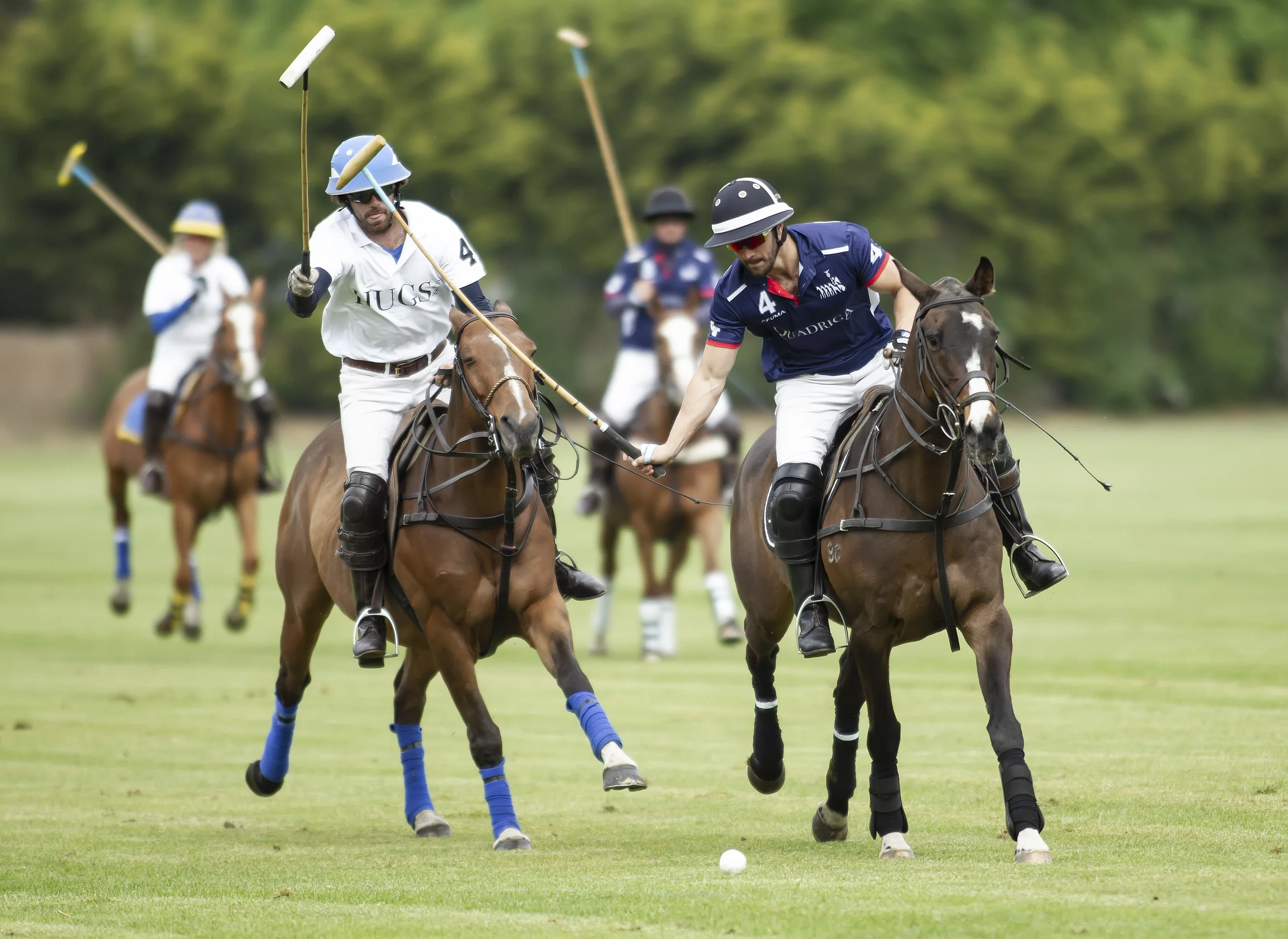 IPS-MG_Ham-Polo_05052019080.JPG
