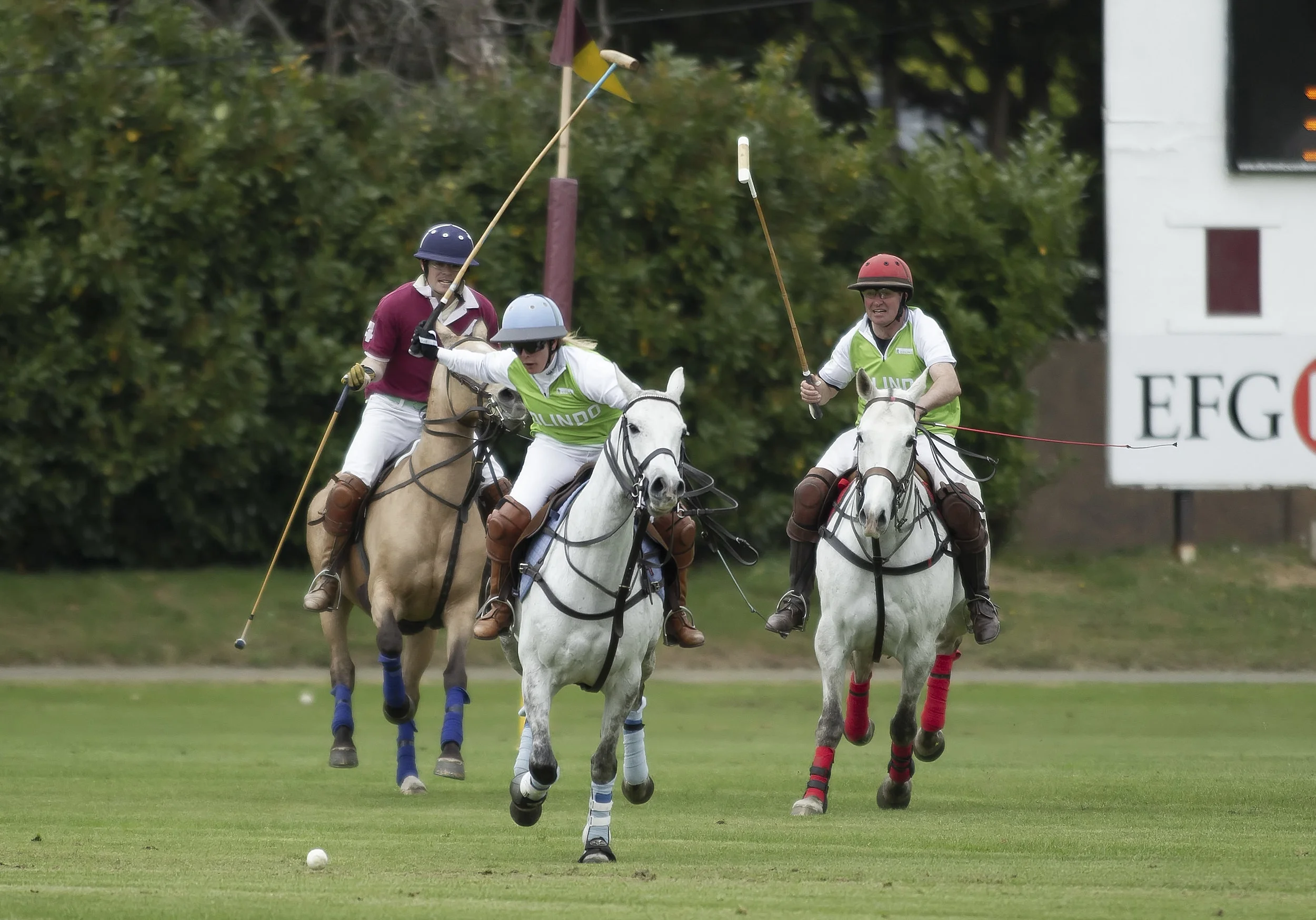 IPS-MG_Ham-Polo_05052019070.JPG