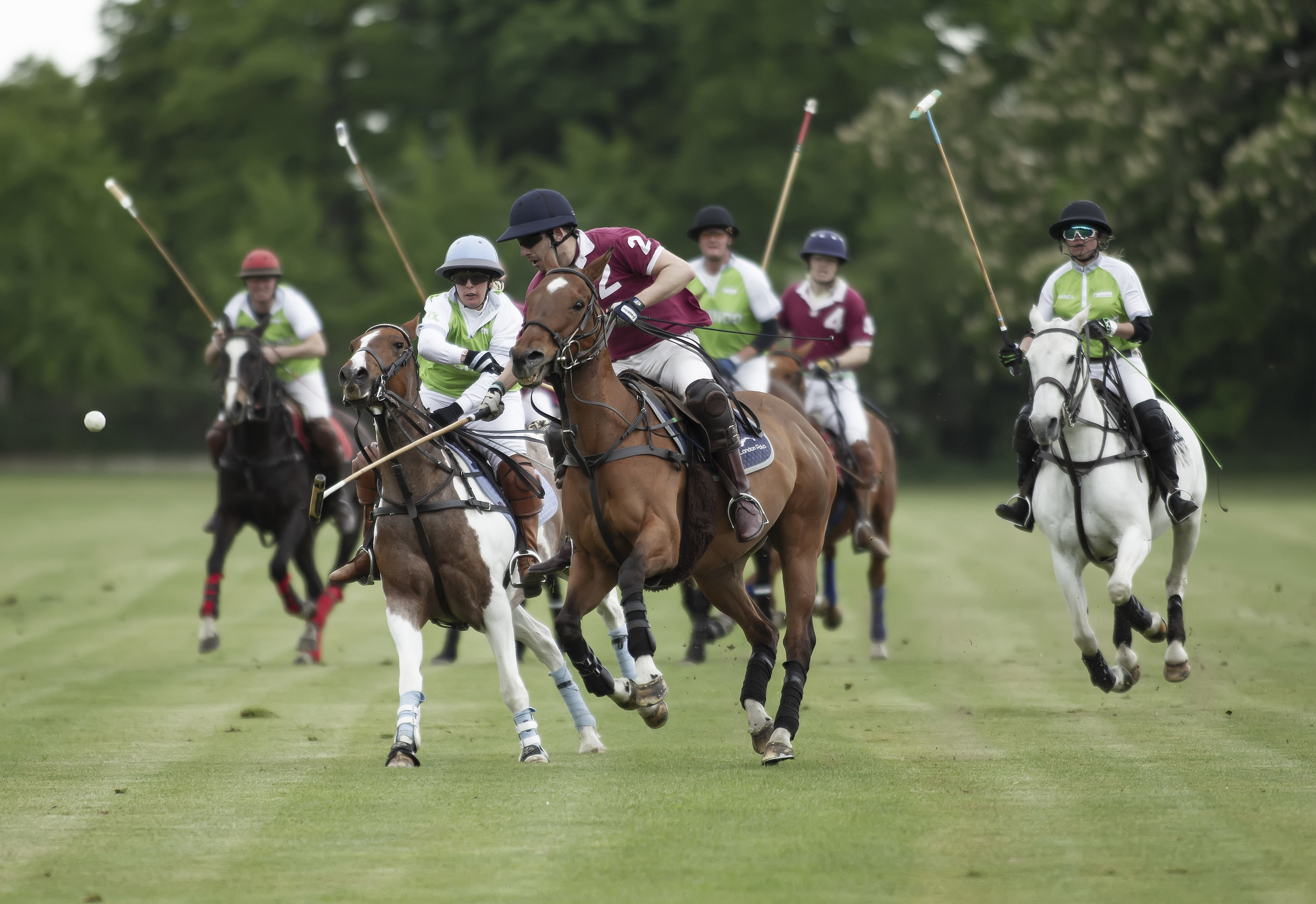 IPS-MG_Ham-Polo_05052019068.JPG
